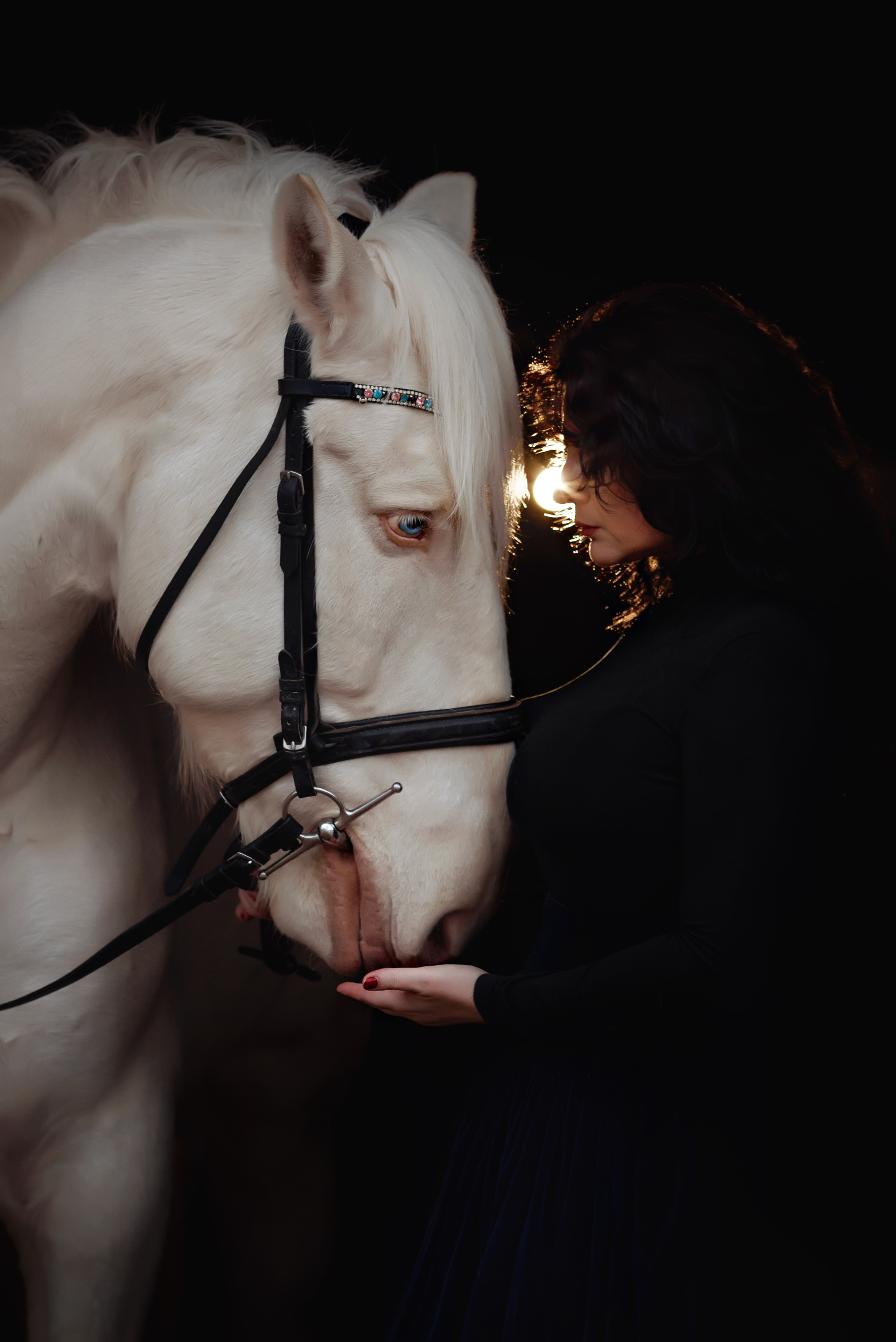 Съемки с лошадьми. Фотограф Вероника Ранцева, фотосессии с лошадьми в Минске и Могилеве