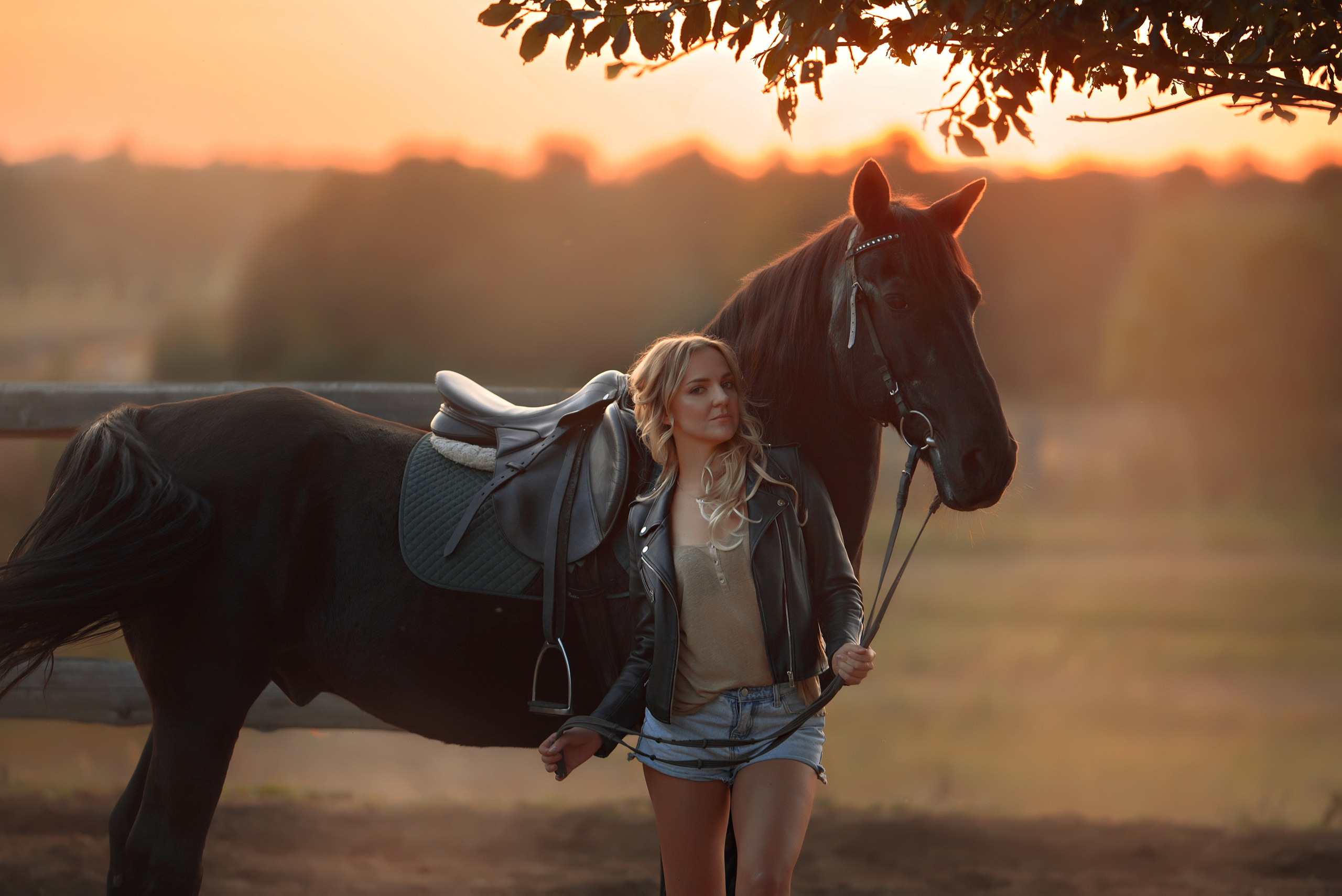 Съемки с лошадьми. Фотограф Вероника Ранцева, фотосессии с лошадьми в Минске и Могилеве