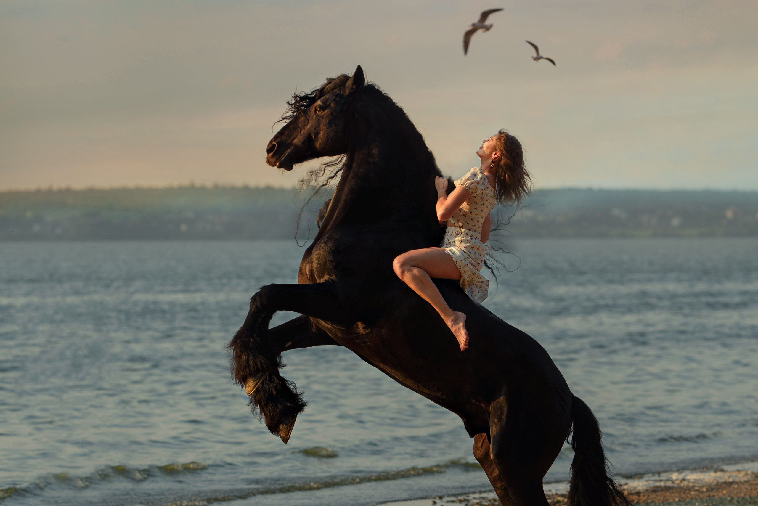 Съемки с лошадьми. Фотограф Вероника Ранцева, фотосессии с лошадьми в Минске и Могилеве