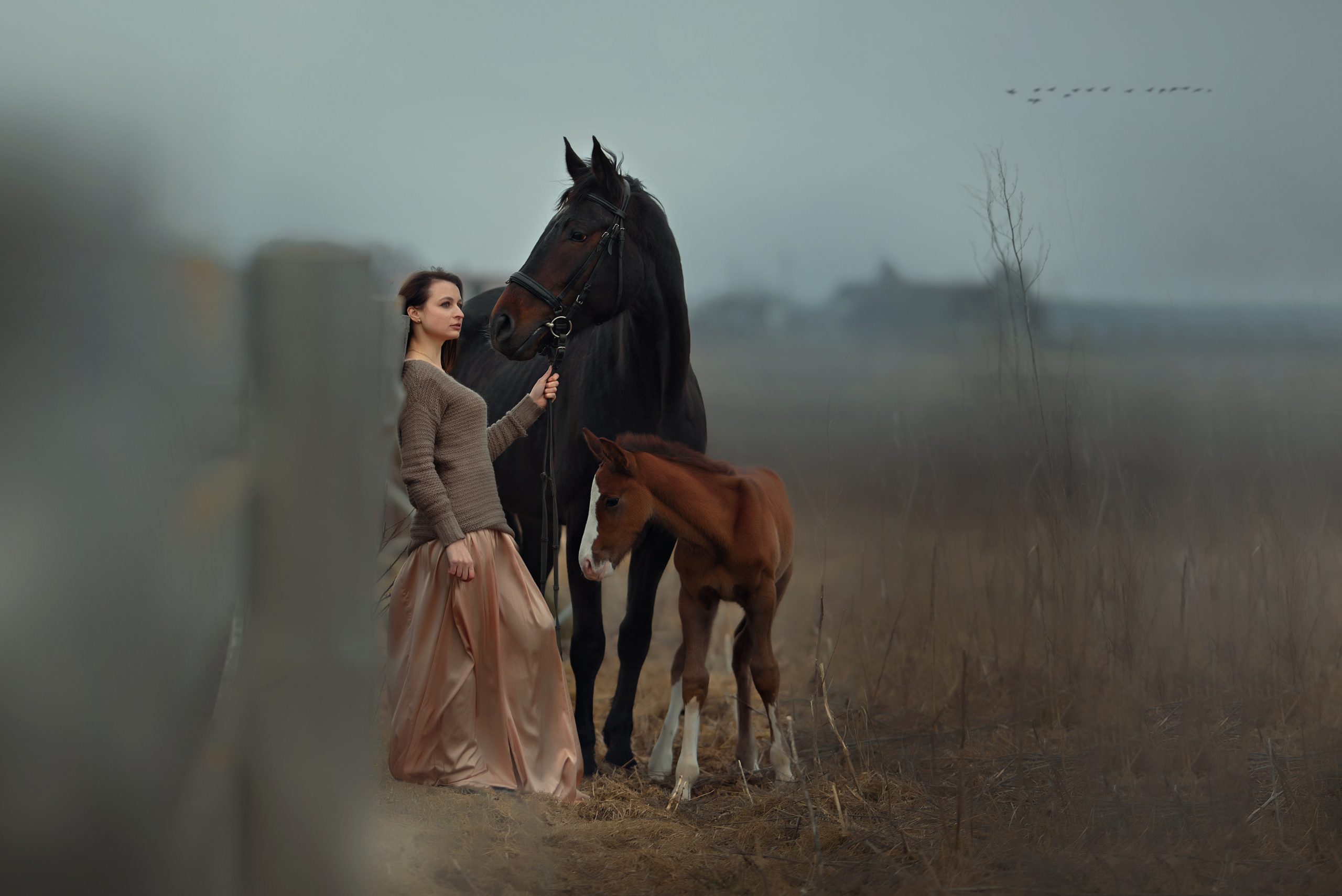 Съемки с лошадьми. Фотограф Вероника Ранцева, фотосессии с лошадьми в Минске и Могилеве