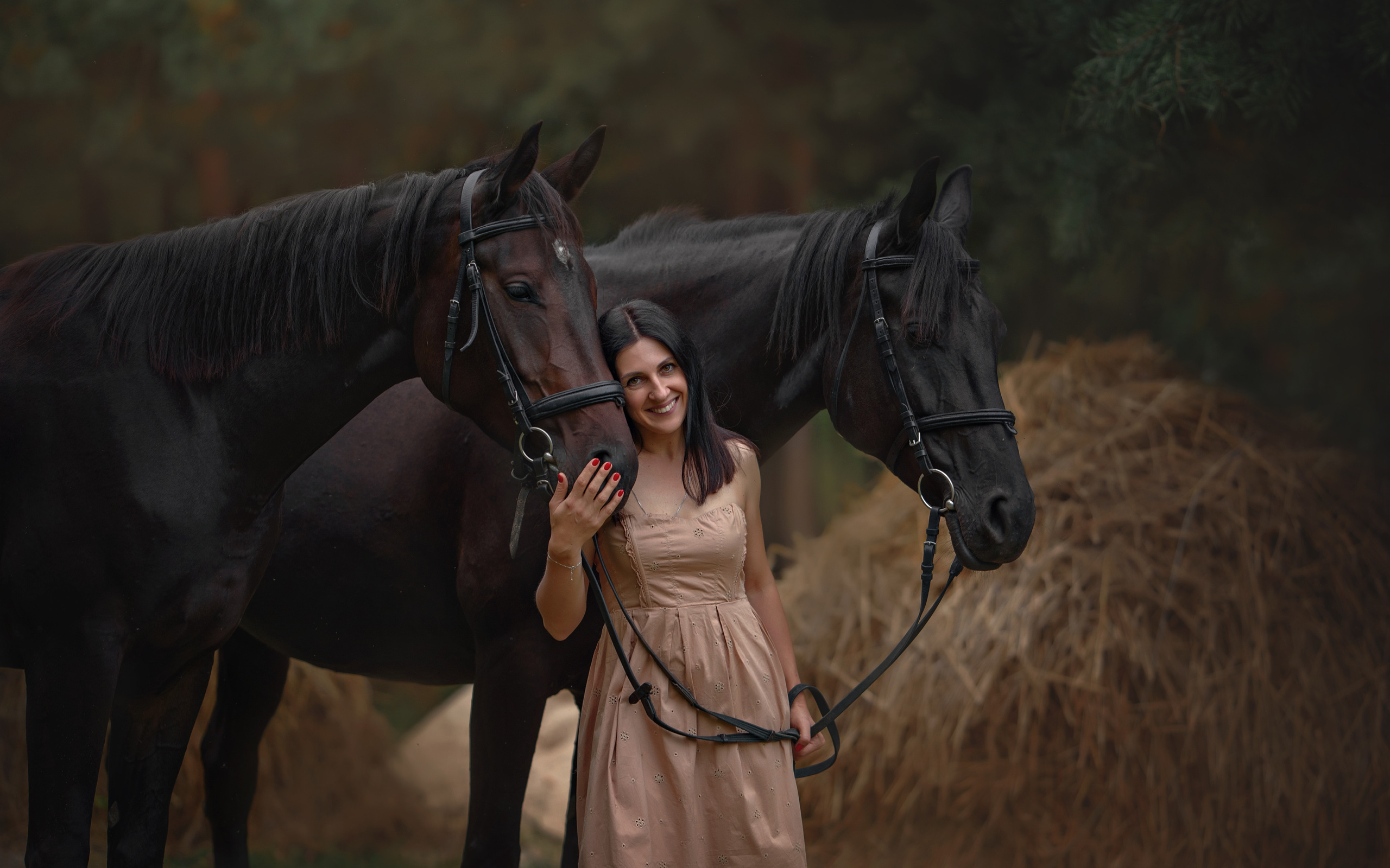 Съемки с лошадьми. Фотограф Вероника Ранцева, фотосессии с лошадьми в Минске и Могилеве