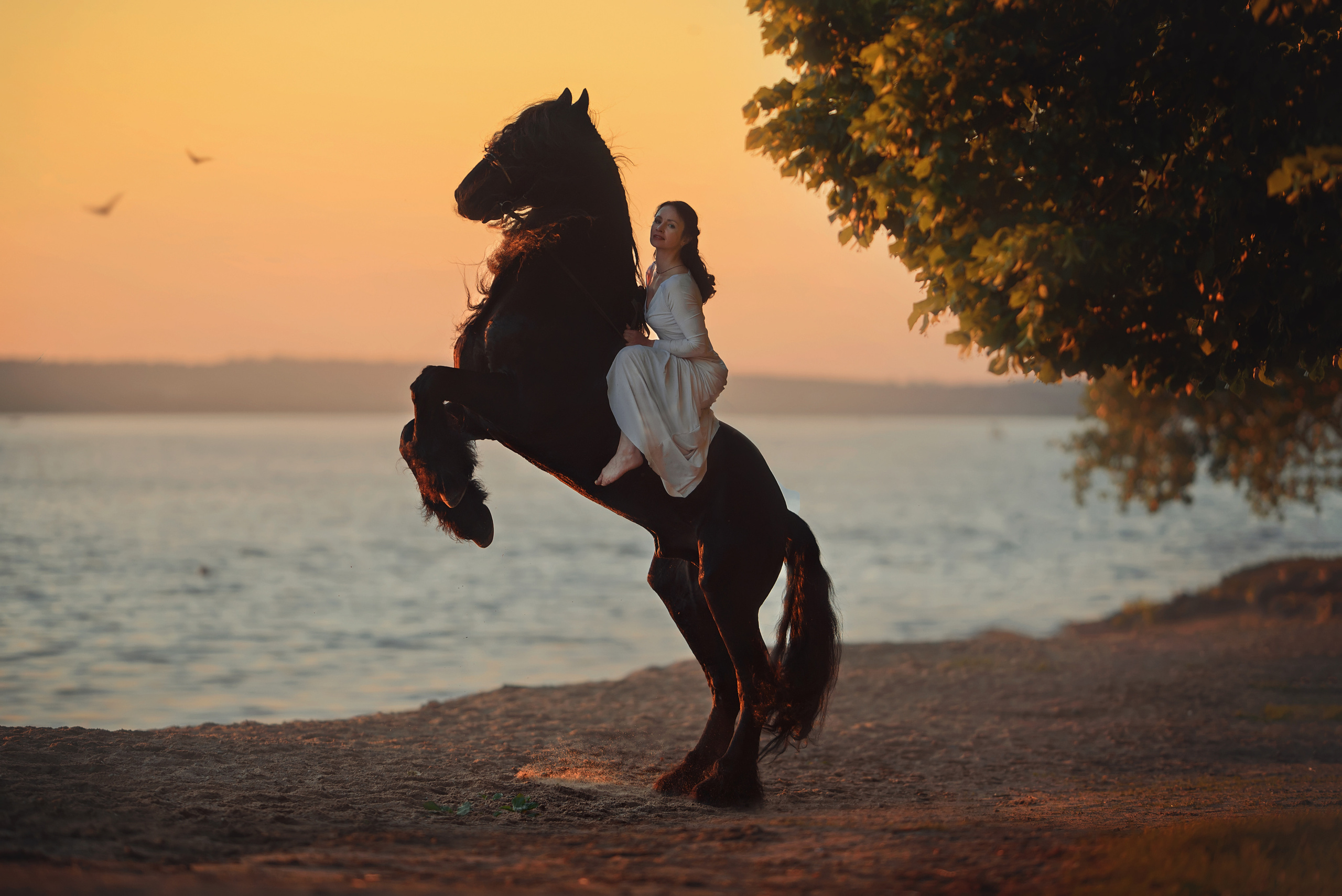 Съемки с лошадьми. Фотограф Вероника Ранцева, фотосессии с лошадьми в Минске и Могилеве