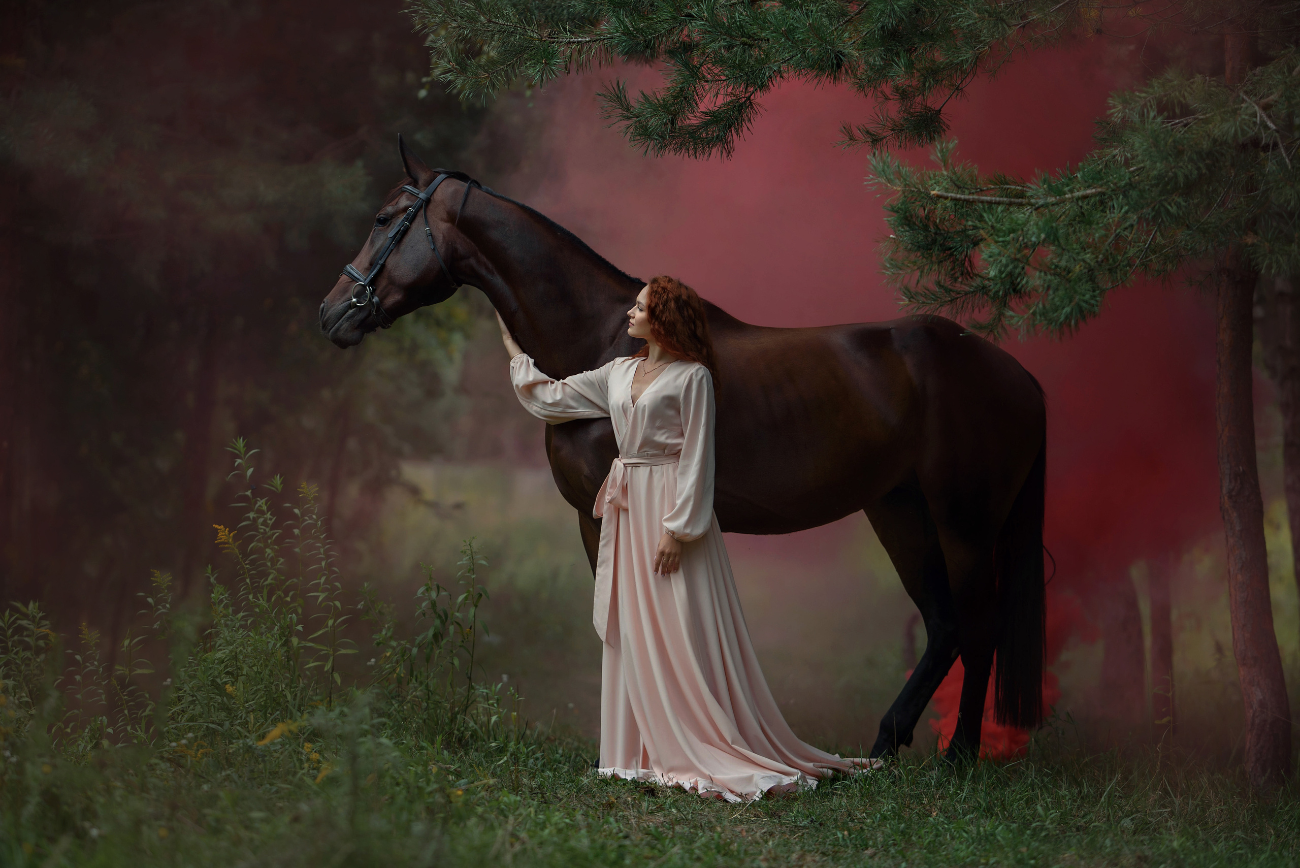 Съемки с лошадьми. Фотограф Вероника Ранцева, фотосессии с лошадьми в Минске и Могилеве