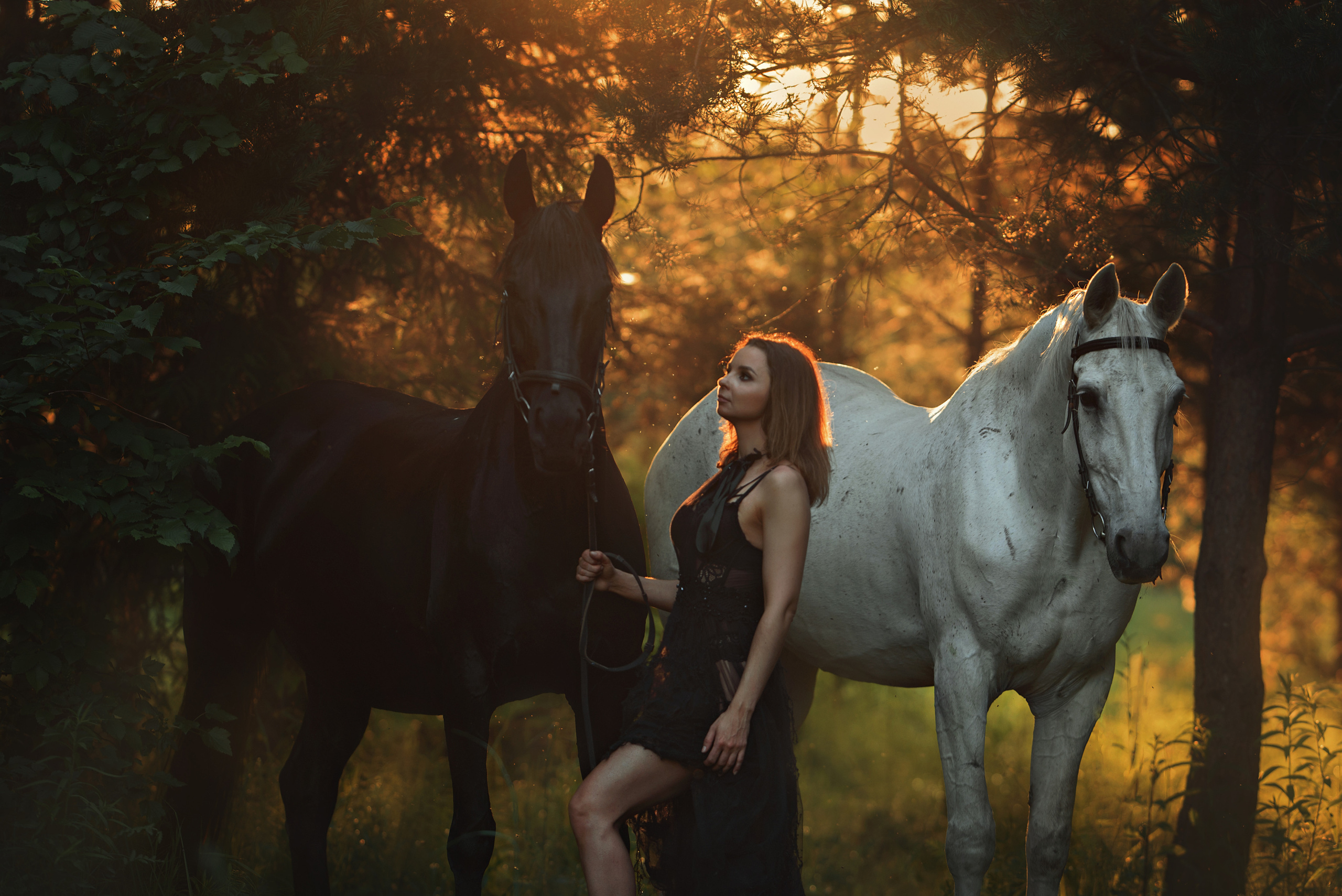 Съемки с лошадьми. Фотограф Вероника Ранцева, фотосессии с лошадьми в Минске и Могилеве