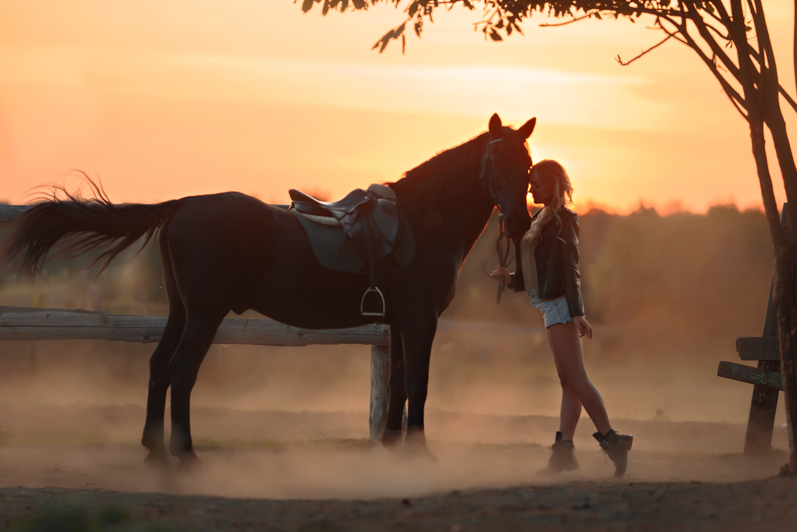 Съемки с лошадьми. Фотограф Вероника Ранцева, фотосессии с лошадьми в Минске и Могилеве