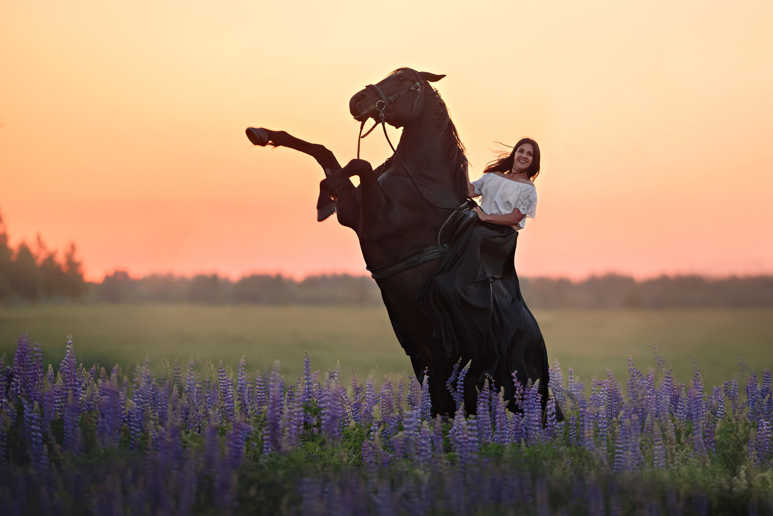 Съемки с лошадьми. Фотограф Вероника Ранцева, фотосессии с лошадьми в Минске и Могилеве