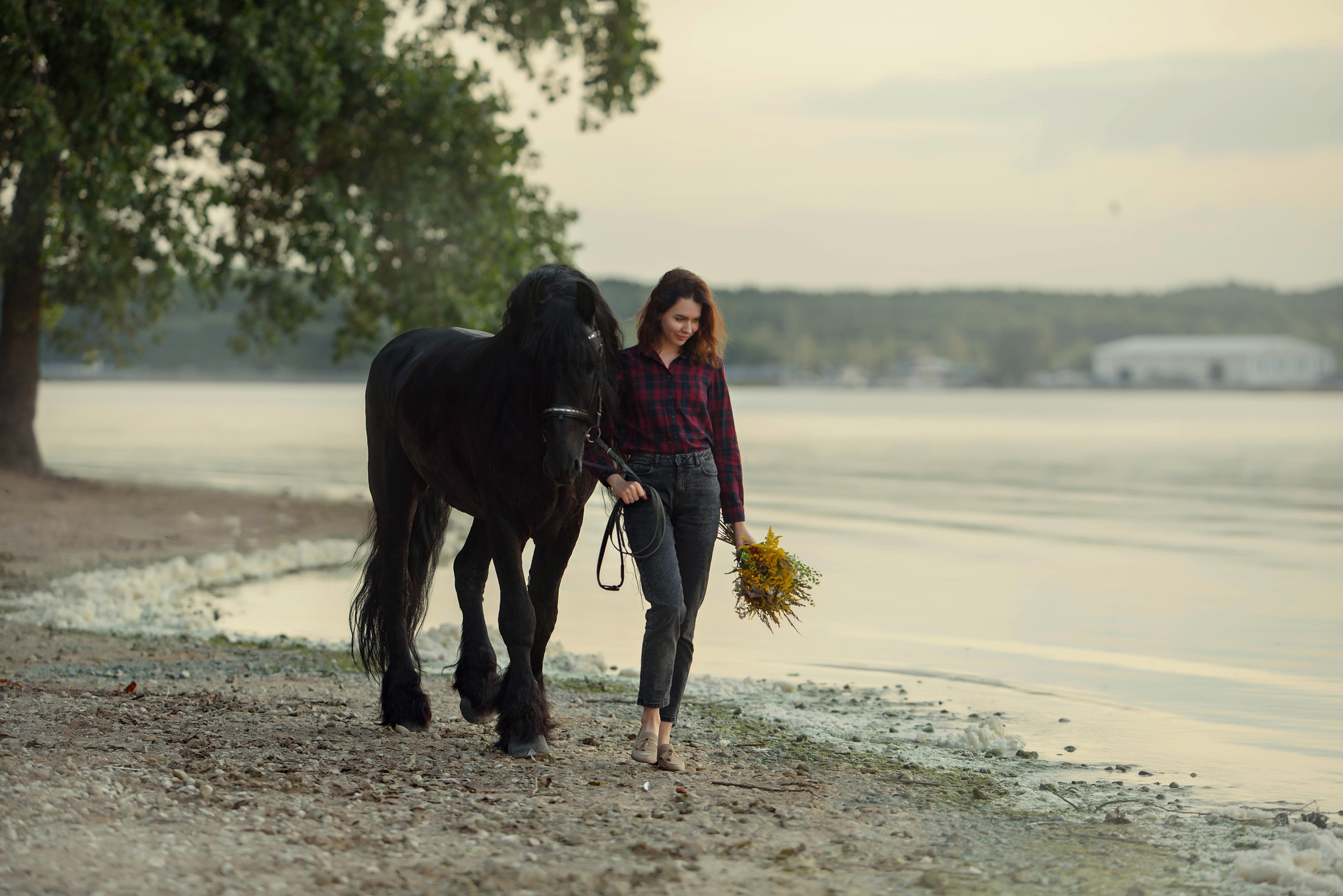 Съемки с лошадьми. Фотограф Вероника Ранцева, фотосессии с лошадьми в Минске и Могилеве