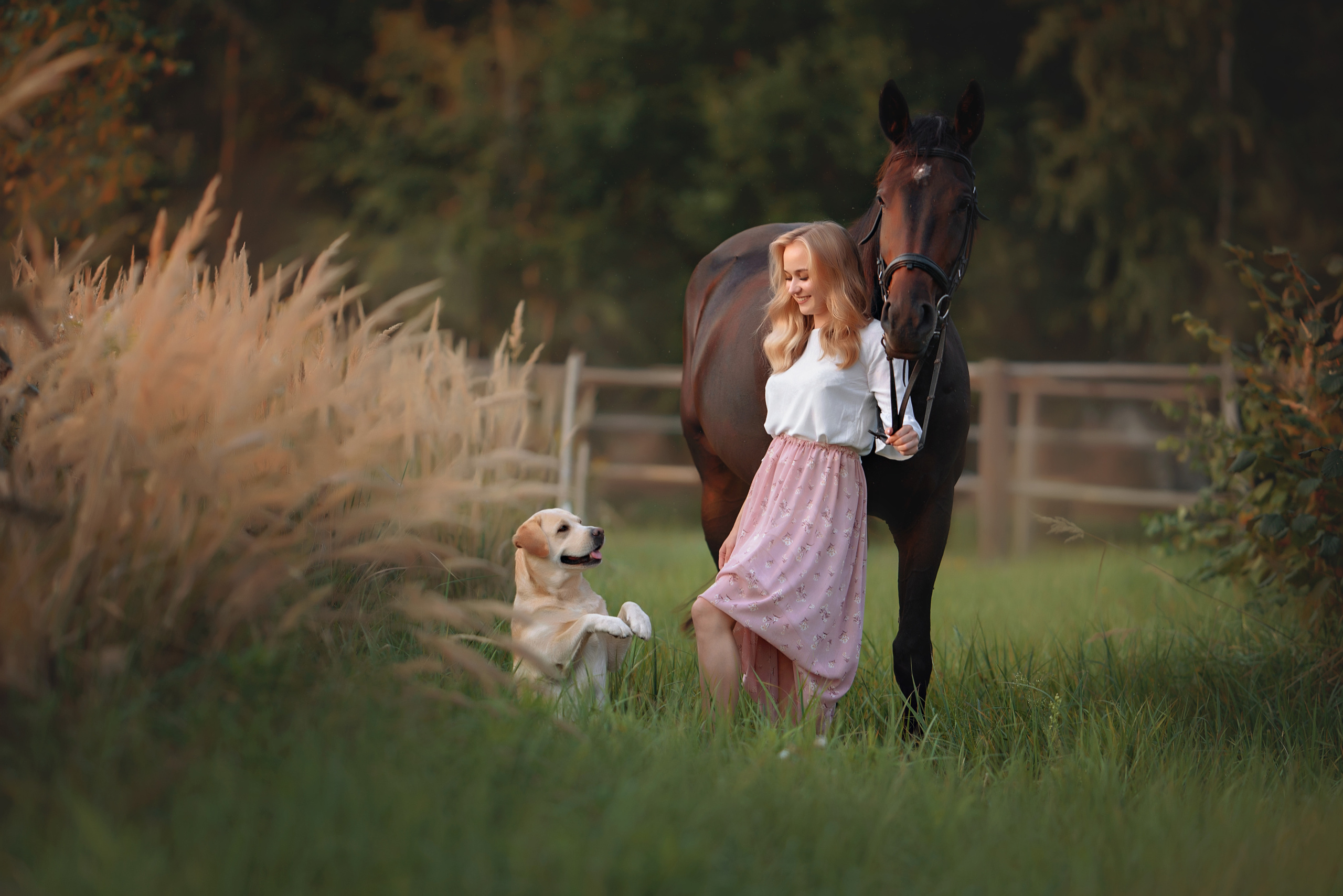 Съемки с лошадьми. Фотограф Вероника Ранцева, фотосессии с лошадьми в Минске и Могилеве