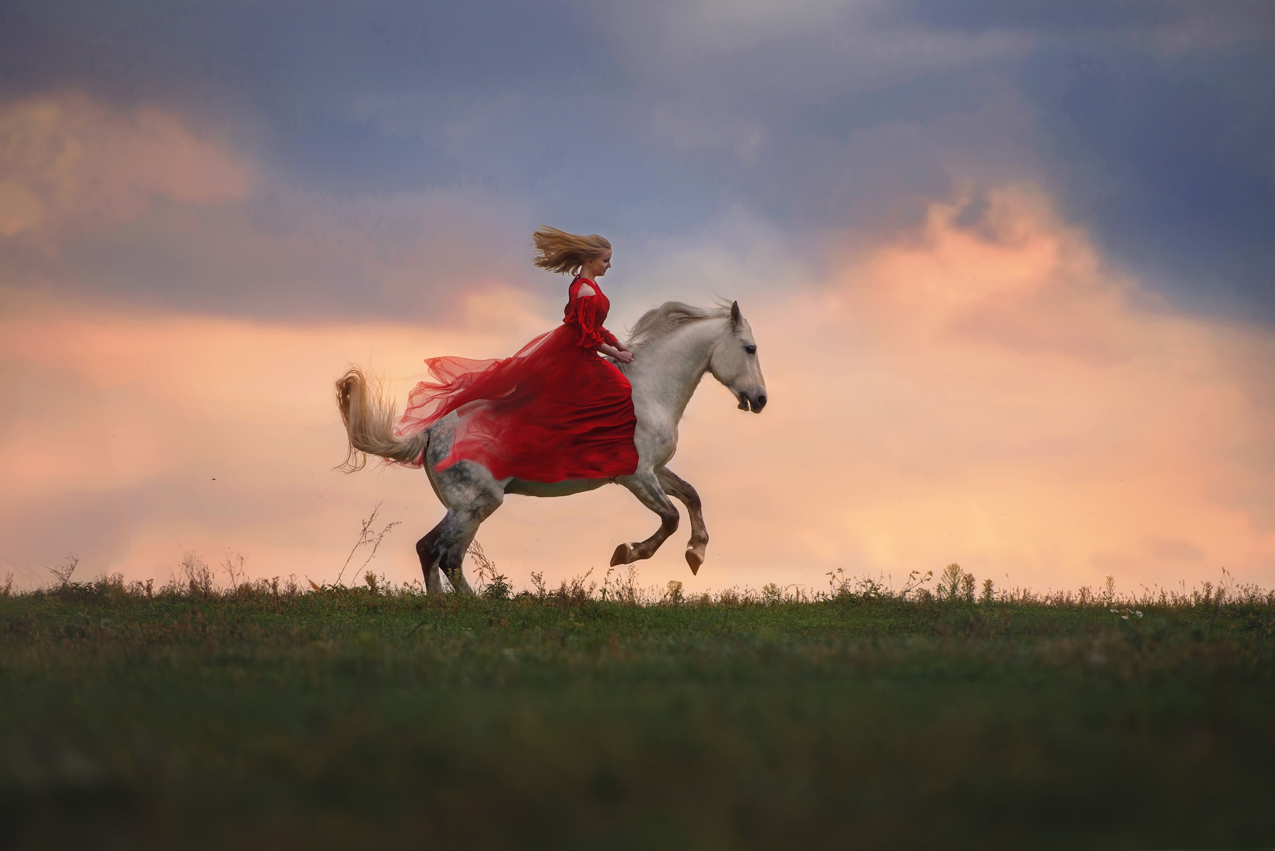 Съемки с лошадьми. Фотограф Вероника Ранцева, фотосессии с лошадьми в Минске и Могилеве