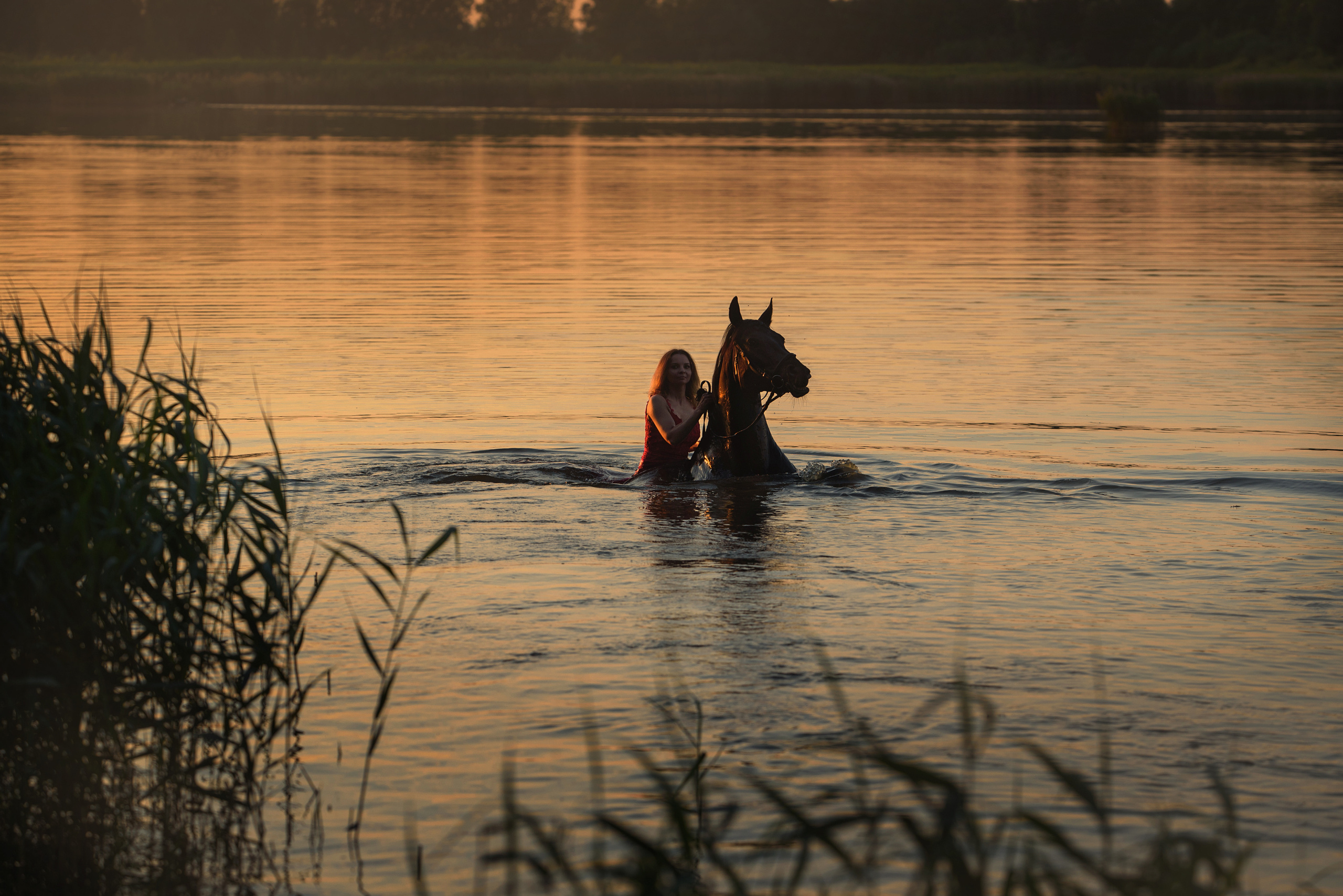 Съемки с лошадьми. Фотограф Вероника Ранцева, фотосессии с лошадьми в Минске и Могилеве
