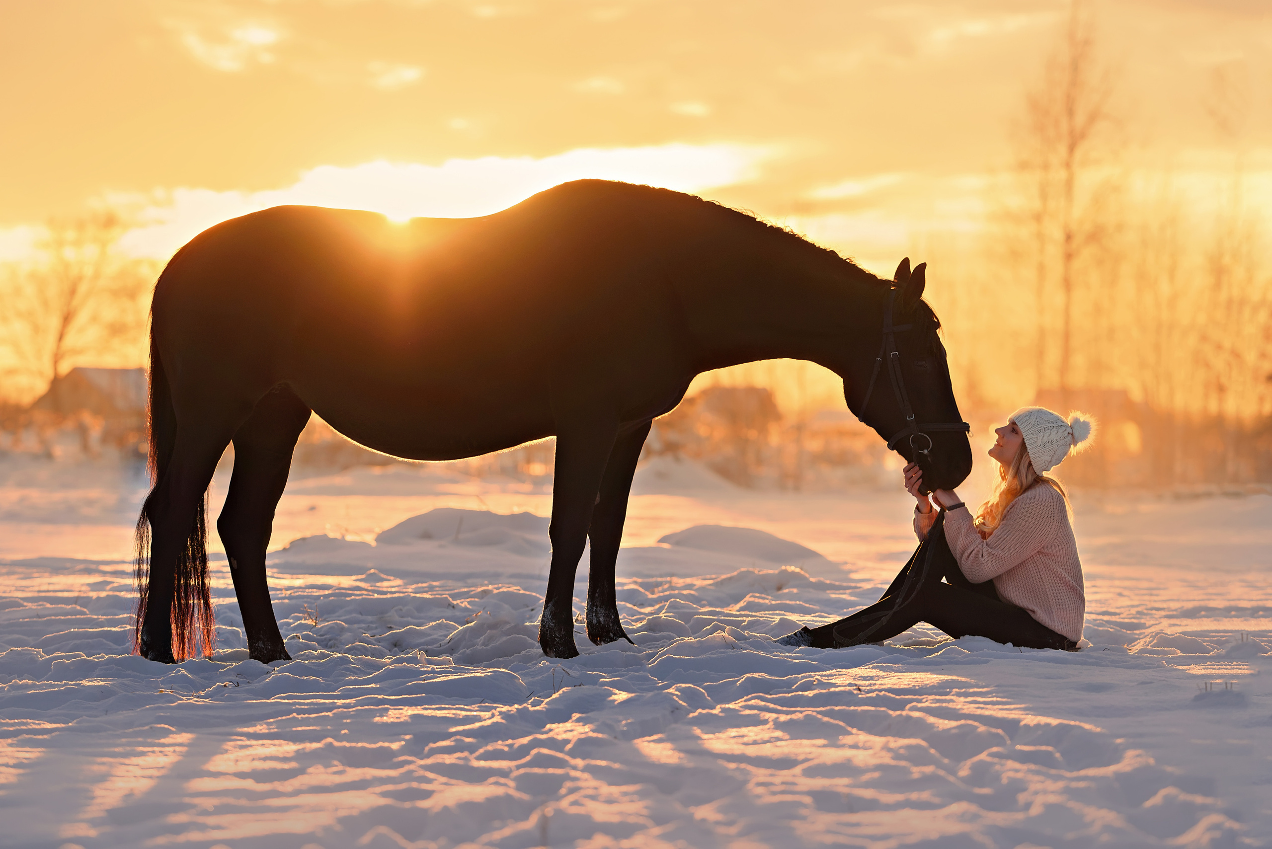 Съемки с лошадьми. Фотограф Вероника Ранцева, фотосессии с лошадьми в Минске и Могилеве