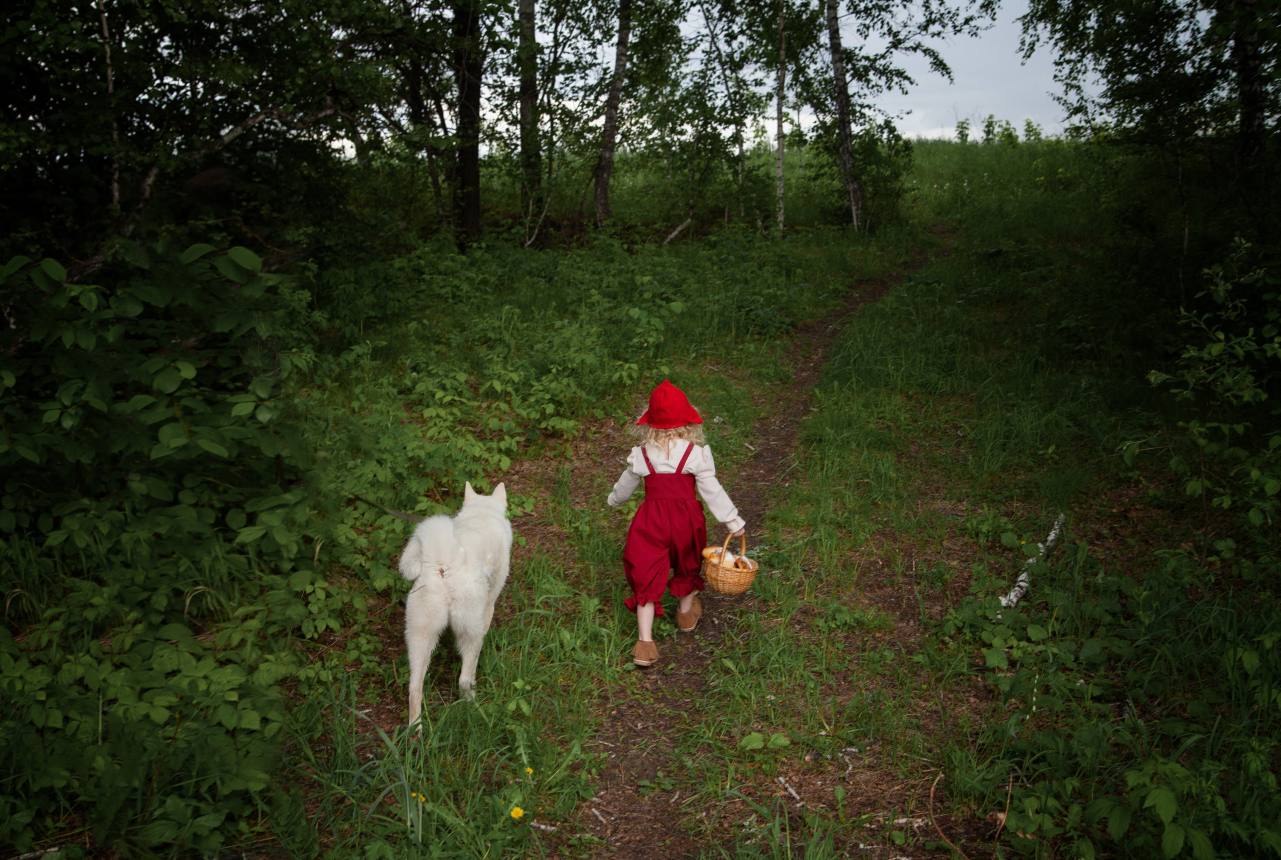 Красная шапочка. Детский и семейный фотограф в Бердске и Новосибирске Дарья Гребнева
