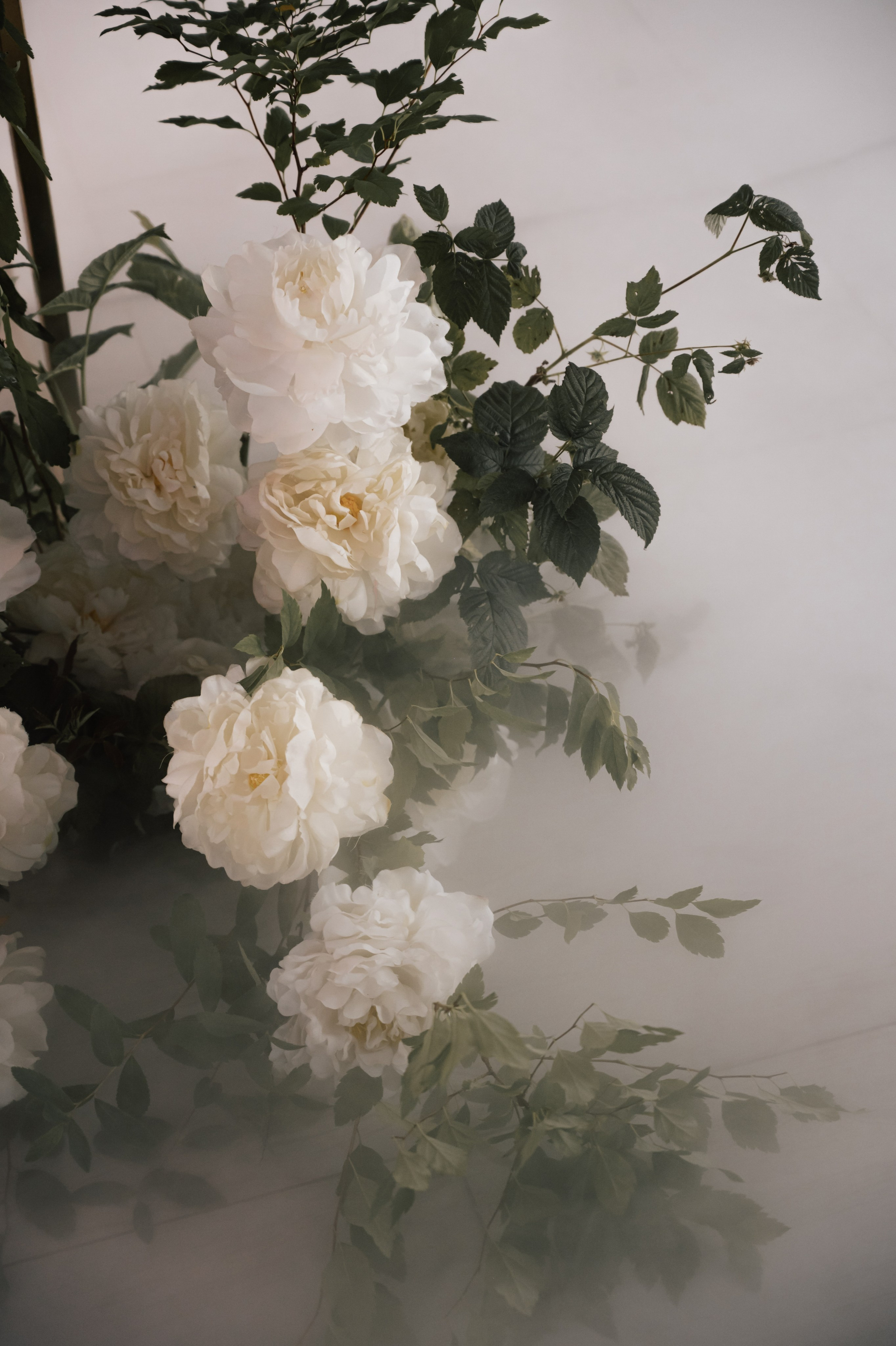 Ruslan & Ksenia. Свадебный и семейный фотограф Вероника Холод