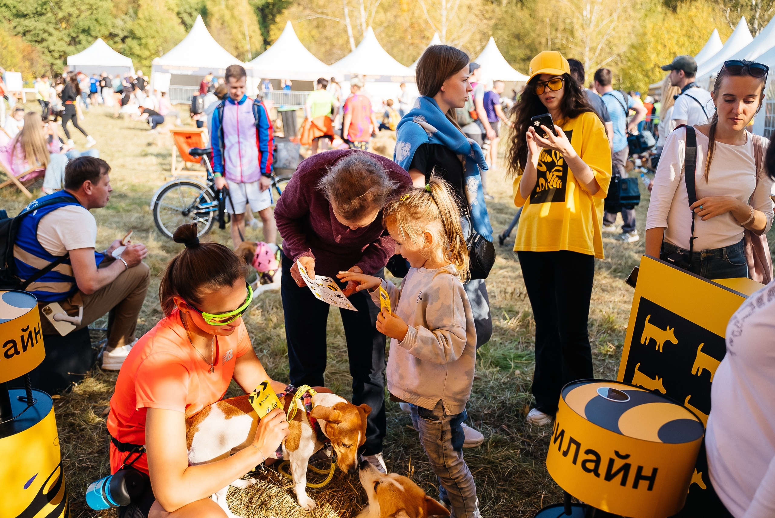 Билайн. Павел Краснов — Свадебный и репортажный фотограф в Москве