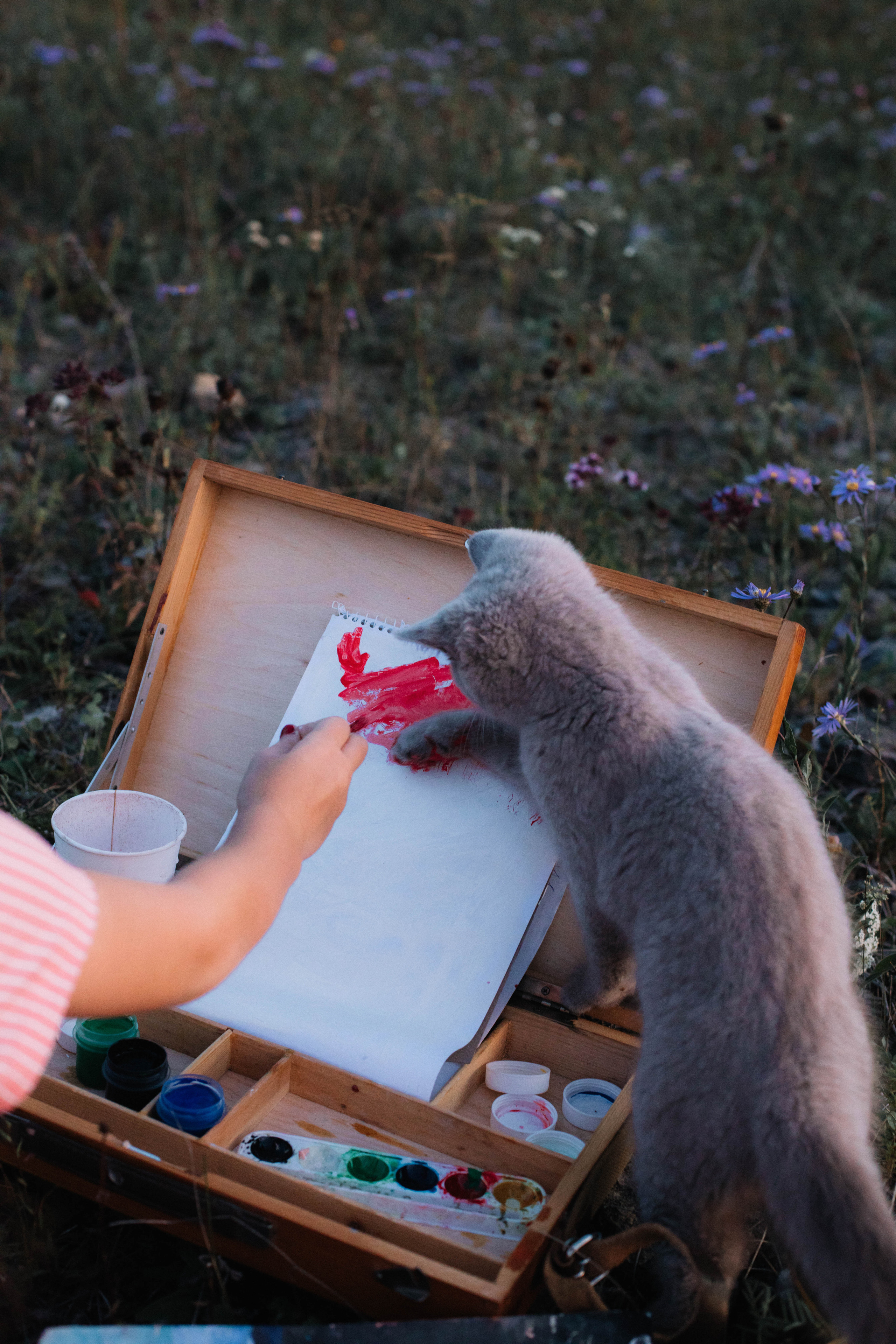 Летний вечер. Фотограф Регина Даниловна Усть — Катав