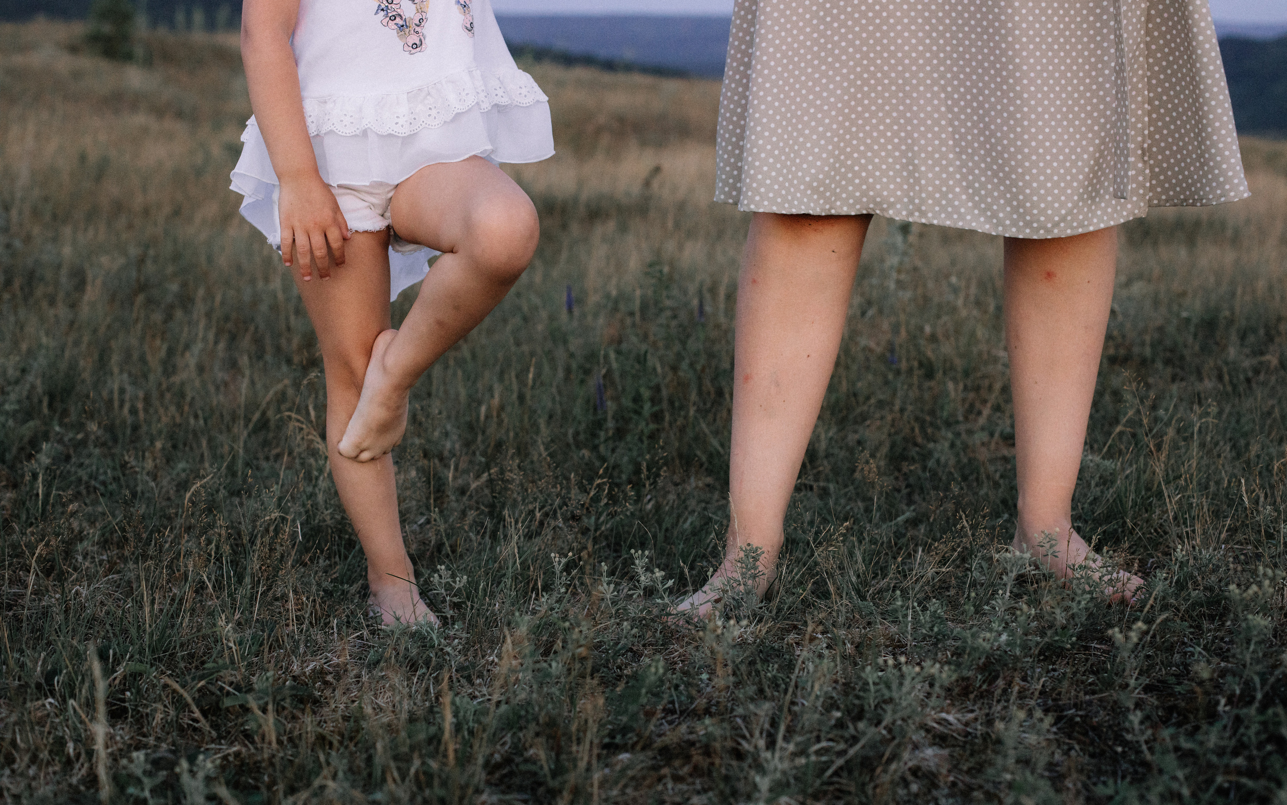 Ромашки. Фотограф Регина Даниловна Усть — Катав