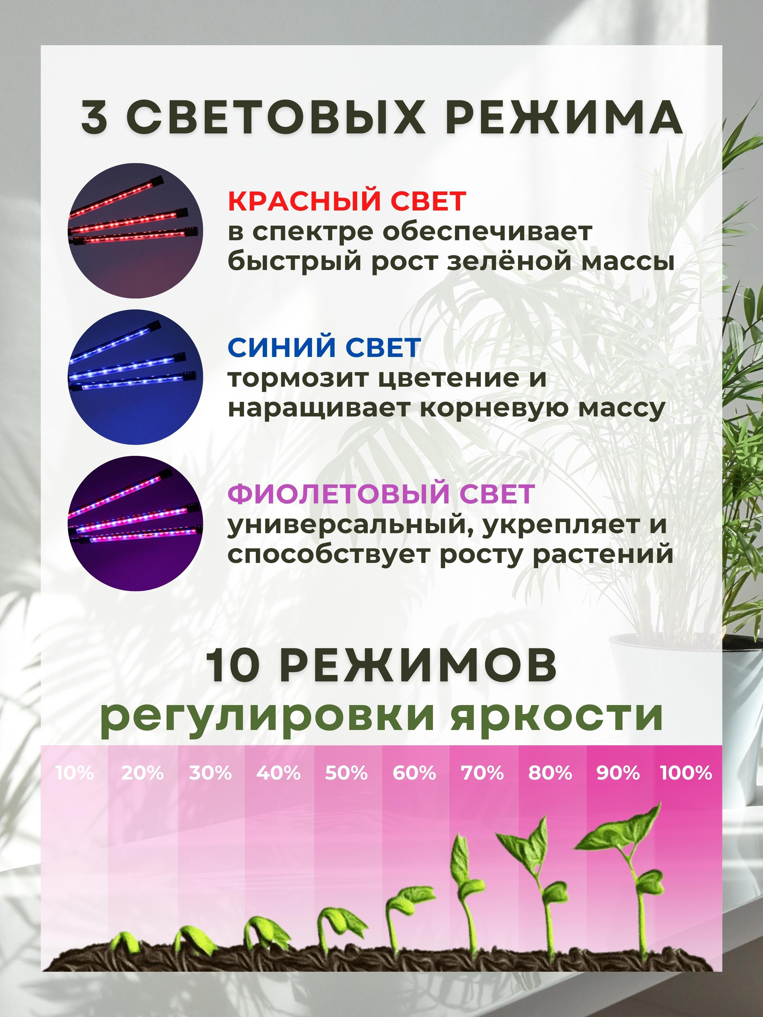 Инфографика для маркетплейсов: фитолампа. Маркетолог в Москве, специалист по коммуникациям и рекламе Аня Смоляга