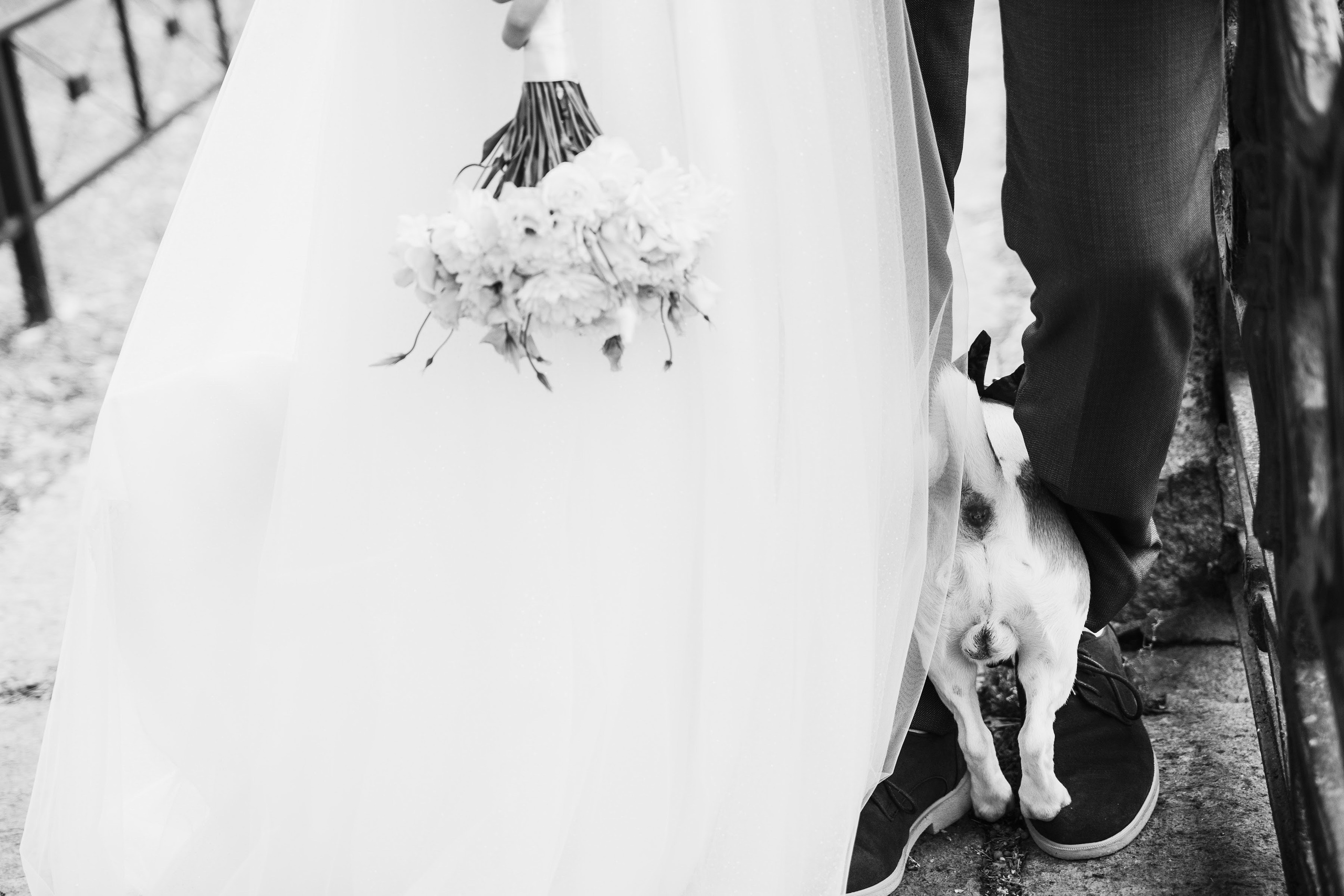 Свадебный фотограф Санкт-Петербург и Москва. Семейный и свадебный фотограф в Санкт-Петербурге и Москве