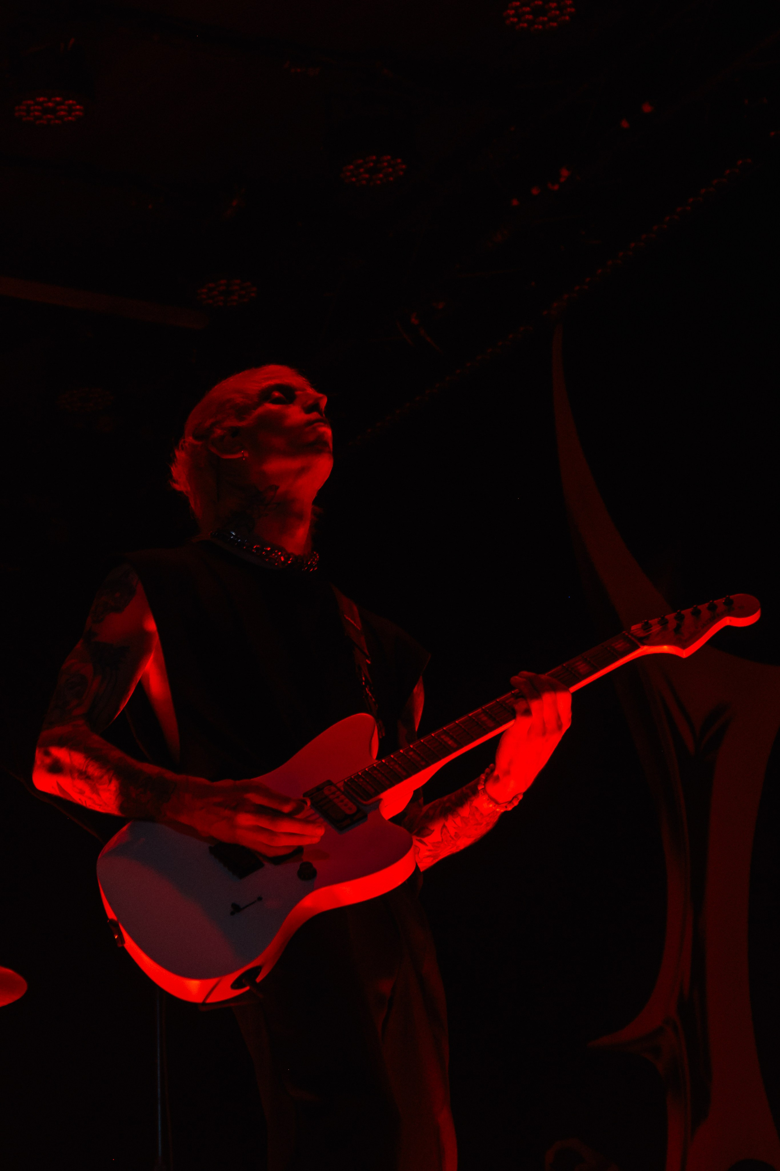 Wildways, Sound, 16.11.24. Репортажный фотограф, Санкт-Петербург