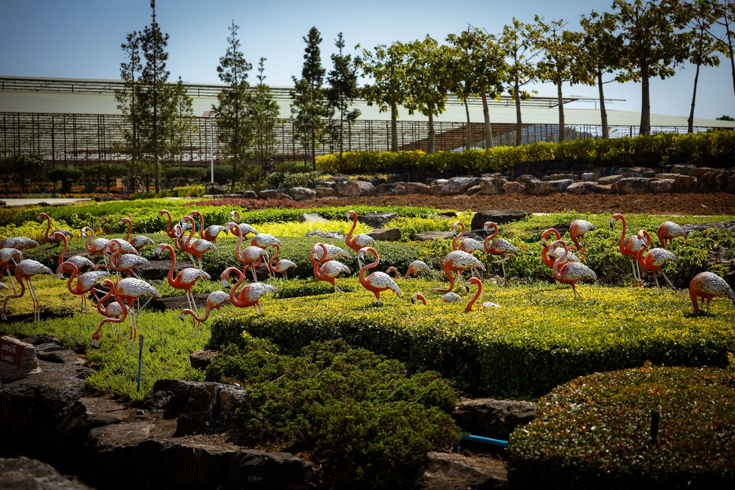 Таиланд (зима 2025). Фотограф Виноградов Константин