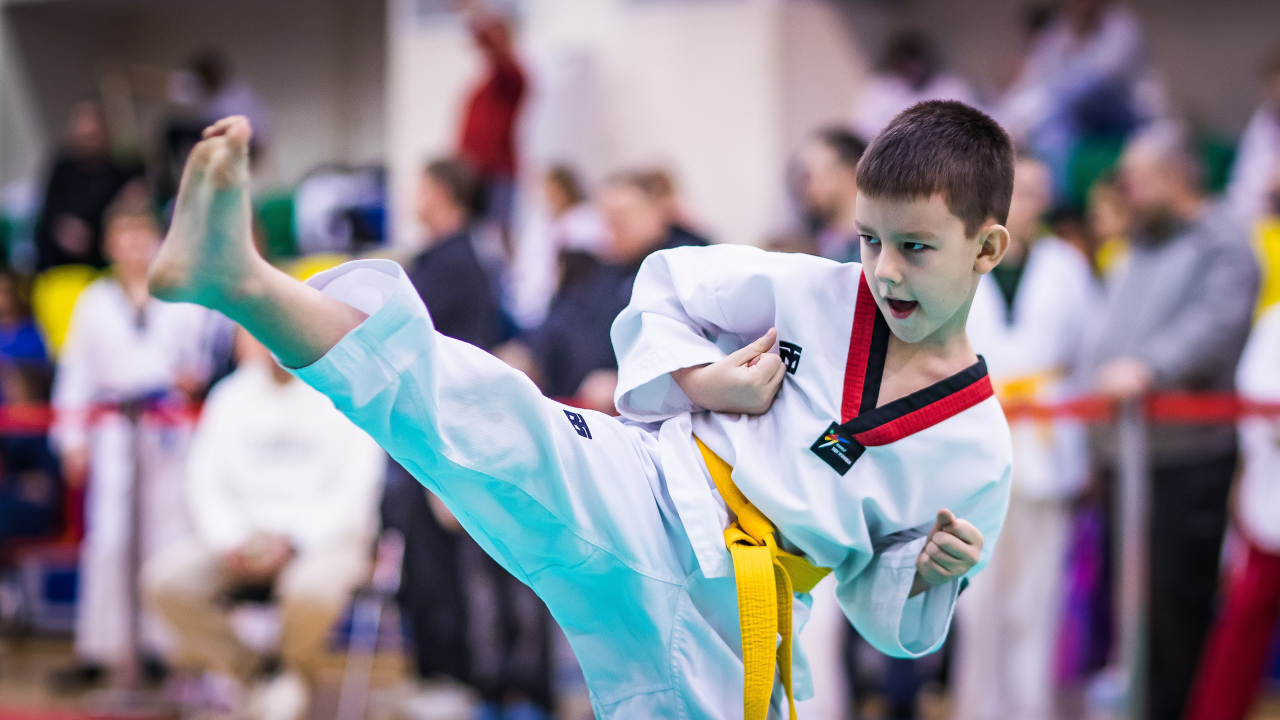 Турнир Федерации детского тхэквондо России по дисциплине ПХУМСЭ. Спортивный фотограф Максим Серегин