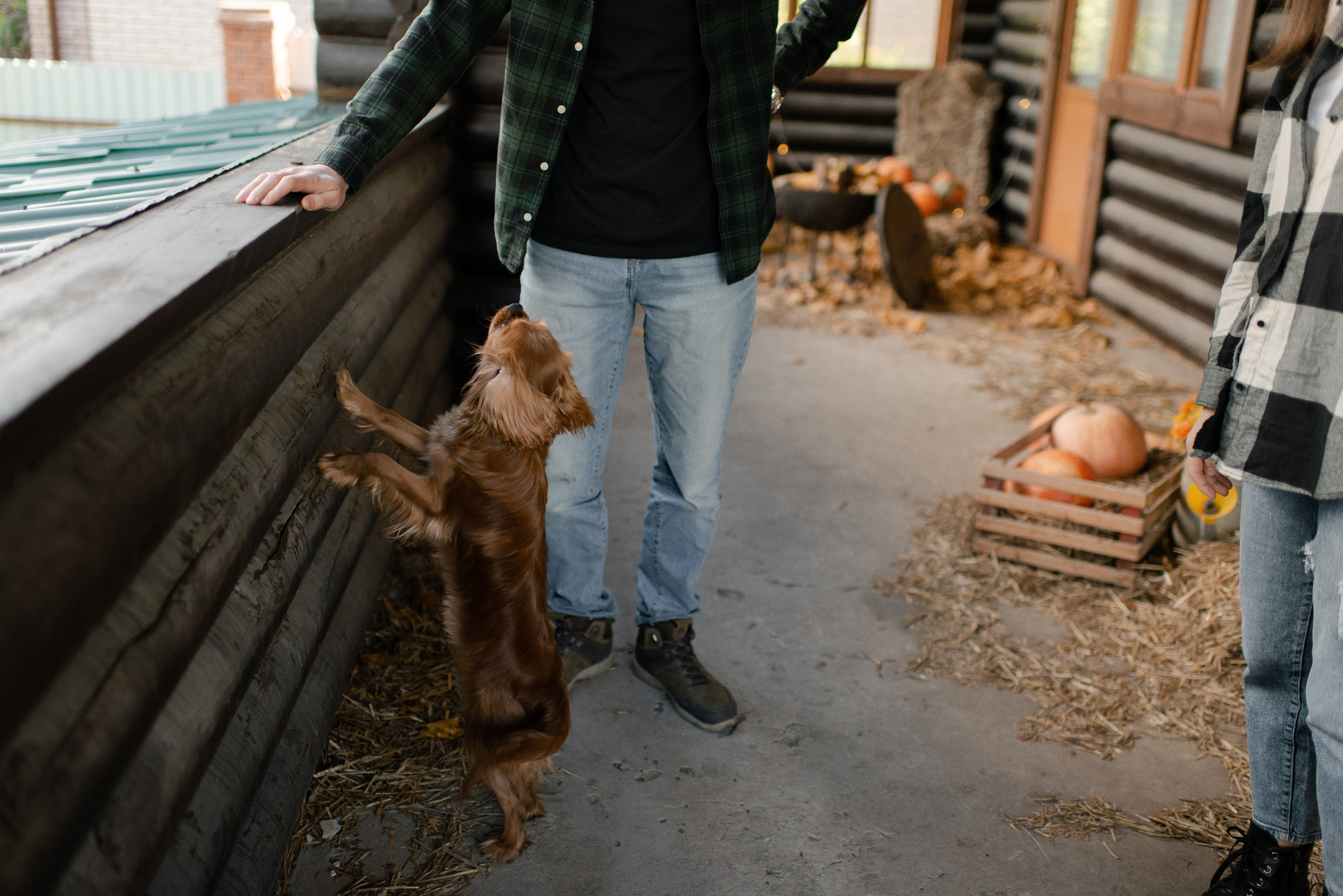 Ксюша и Леша. Свадебный фотограф в Самаре Виденмаер Евгения