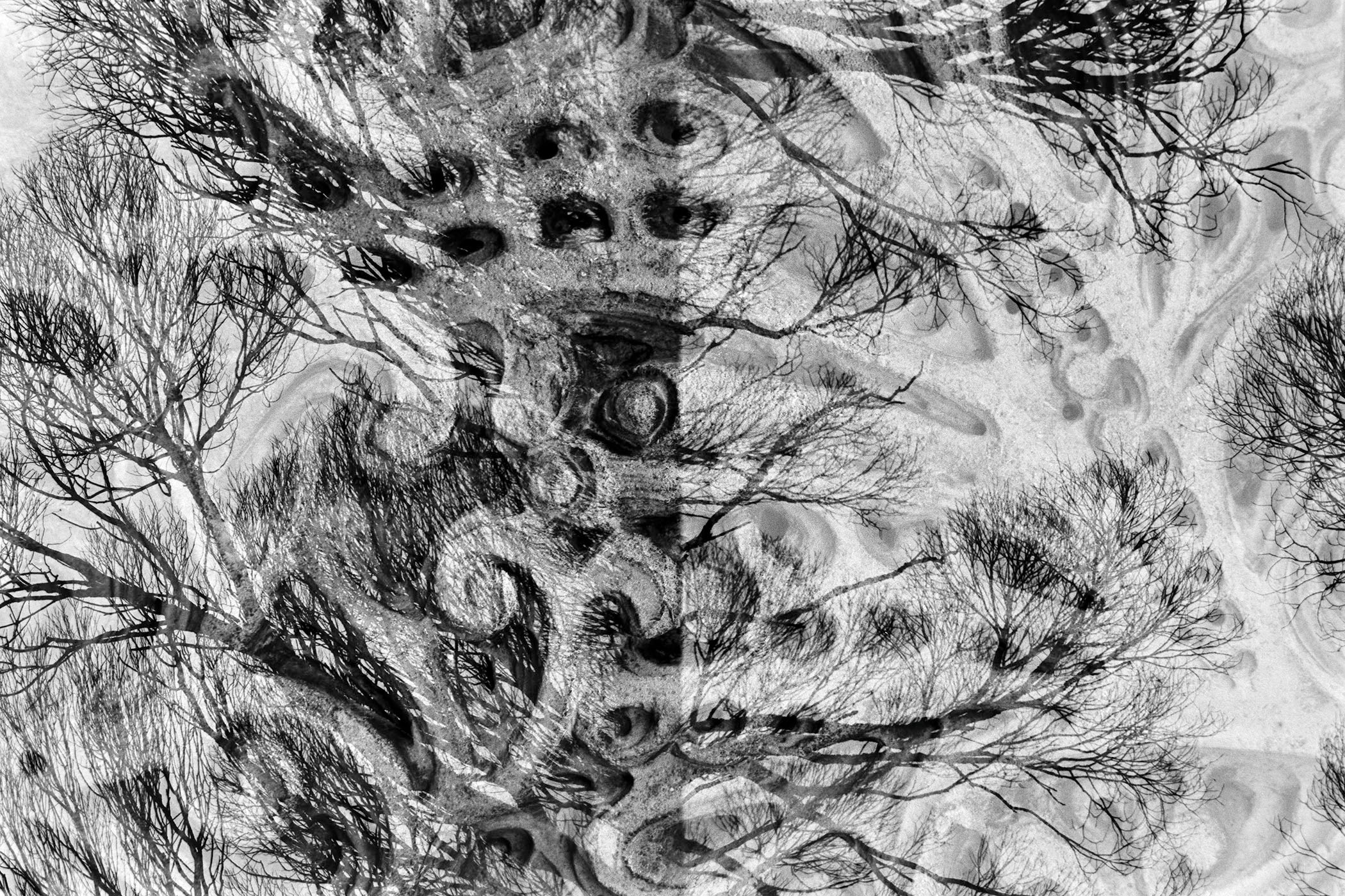 Alien. Andrey Akimov Photography