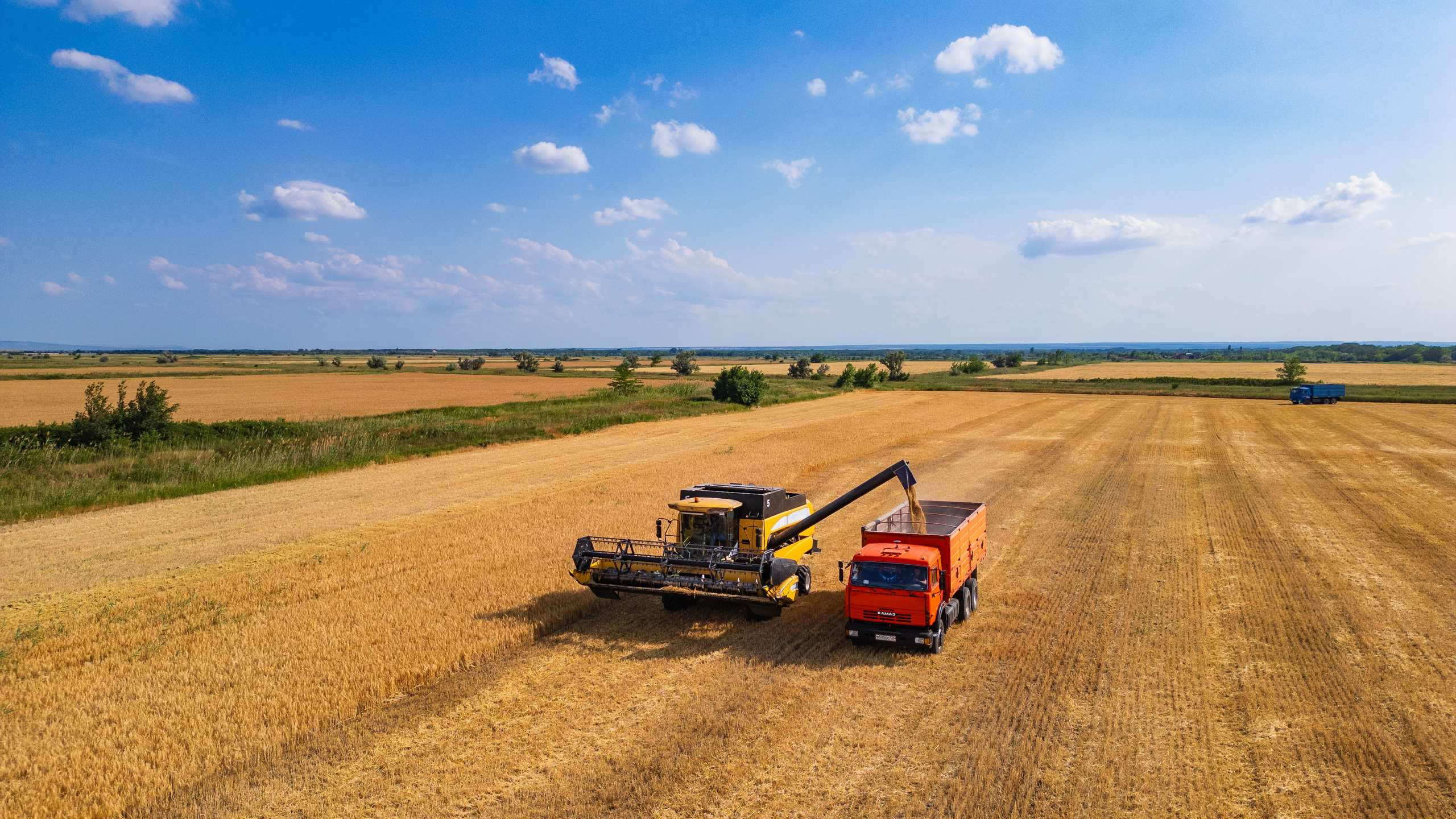 Проекты. Профессиональный фотограф Вячеслав Плацында | Липецк |