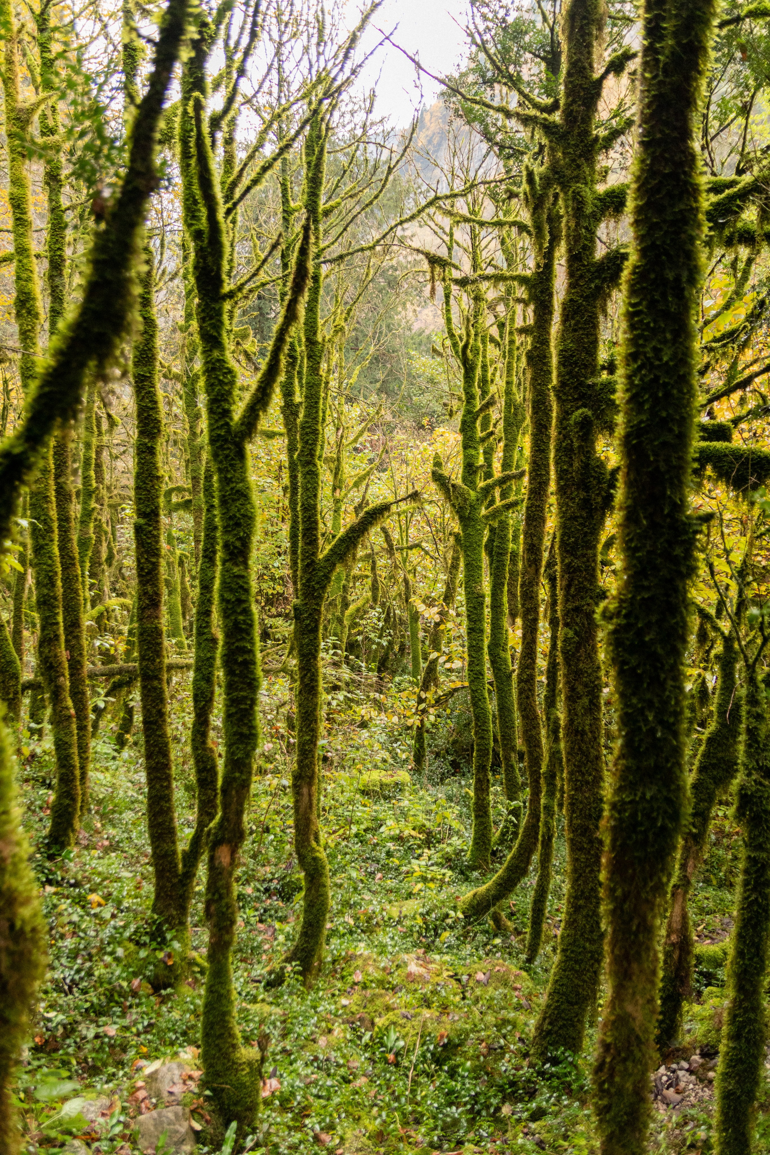 Абхазия. Фотограф Севастополь, Крым. Портретный и репортажный фотограф Коваленко Антонина