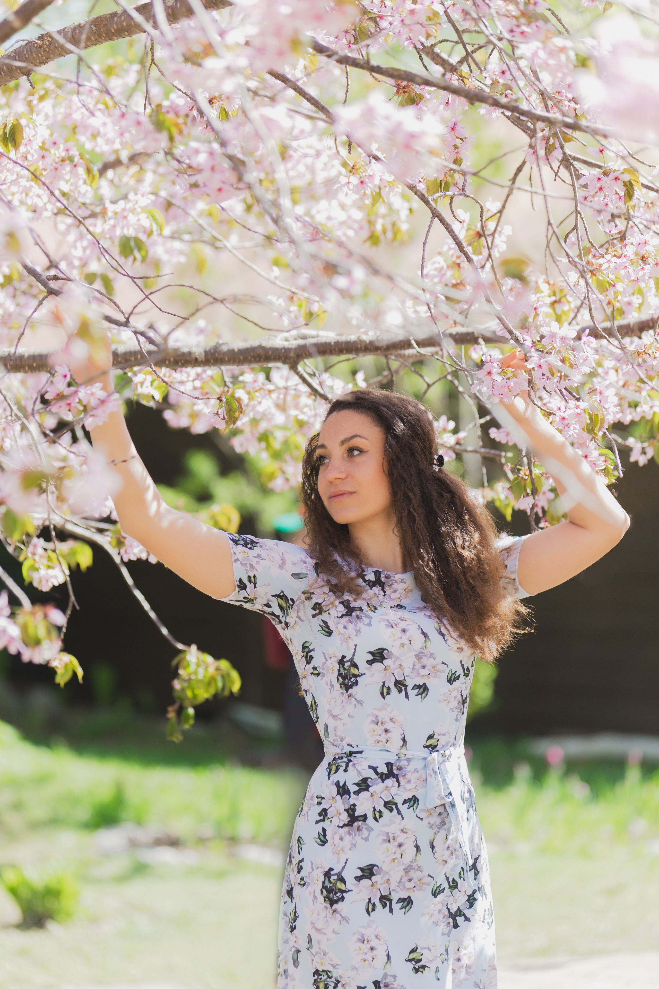 Настя и сакура. Фотограф Южно-Сахалинск
