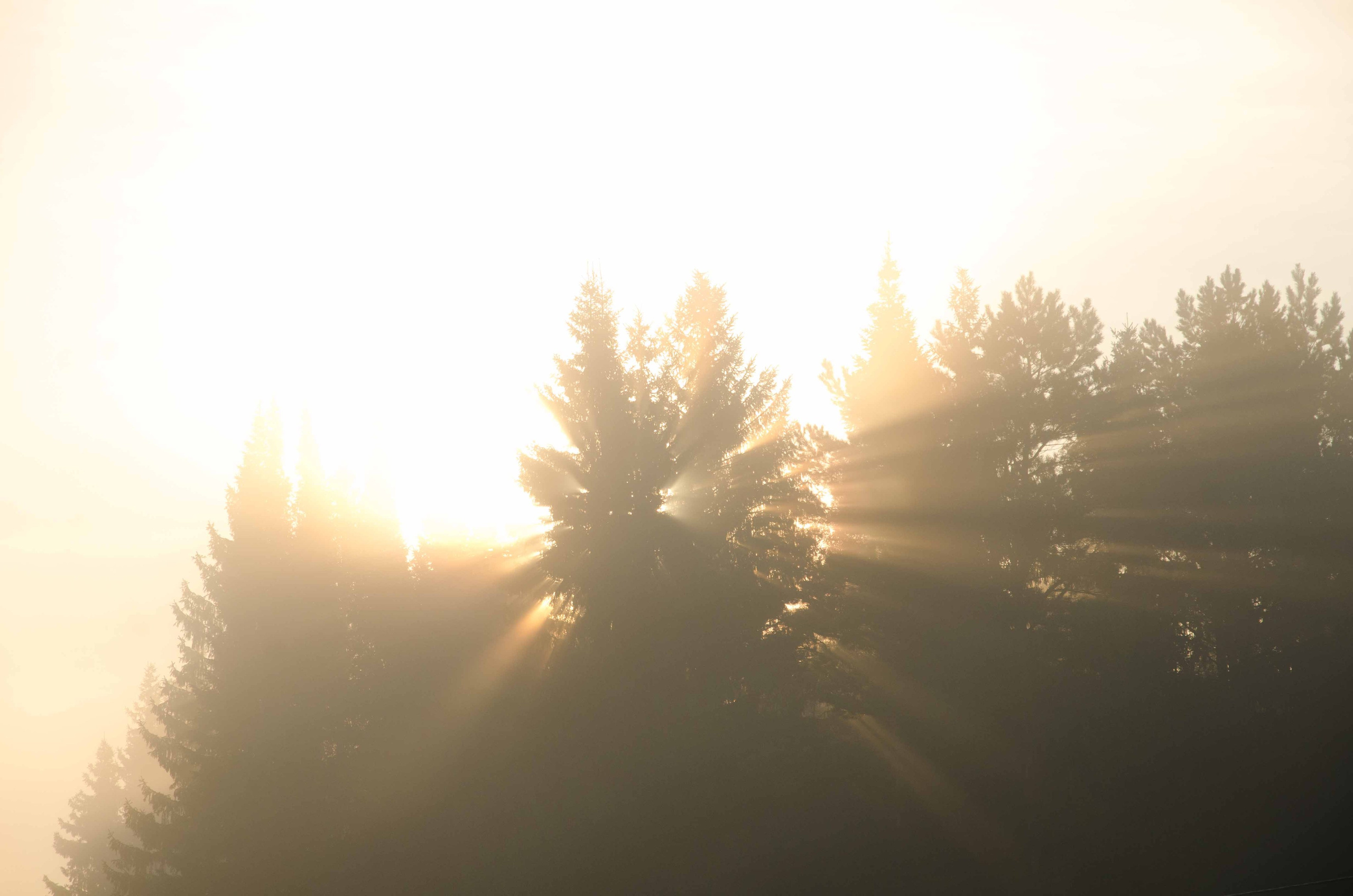 Проекты. Дракон и Ведьмочка — творческая коллаборация