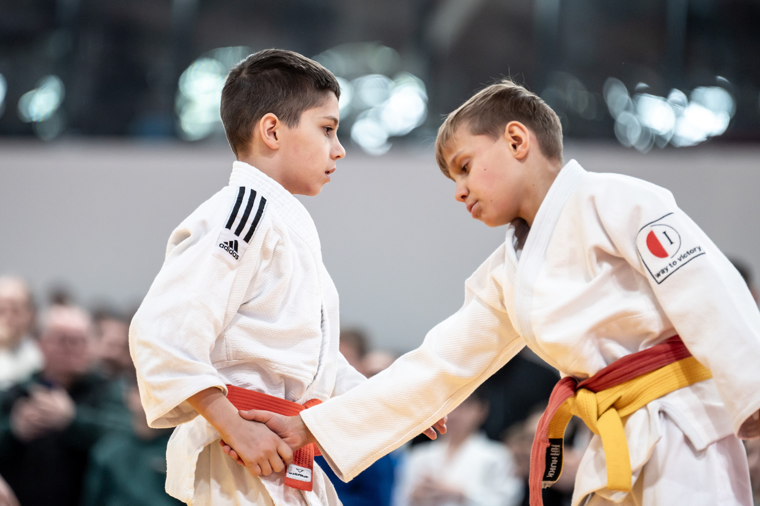 Новогодний турнир по дзюдо. Январь 2024. Спортивный фотограф в Туле и Тульской области. Файсханова Фото Спорт