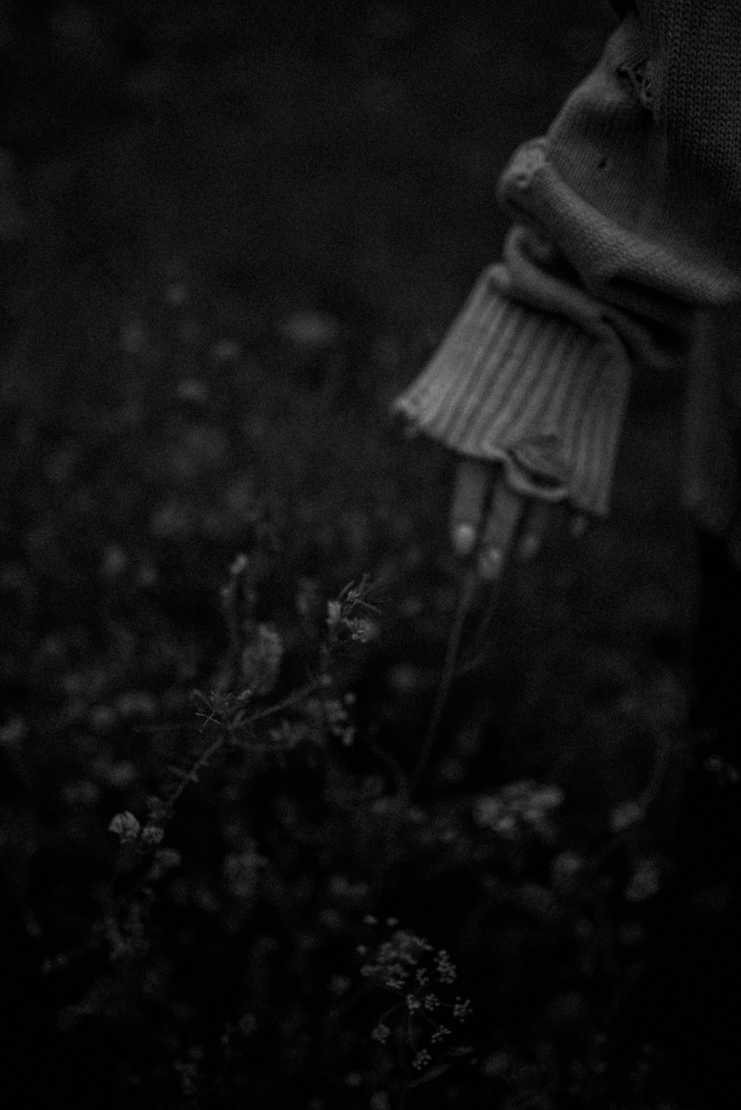 Анита. Свадебный и семейный фотограф Кожевникова Лариса