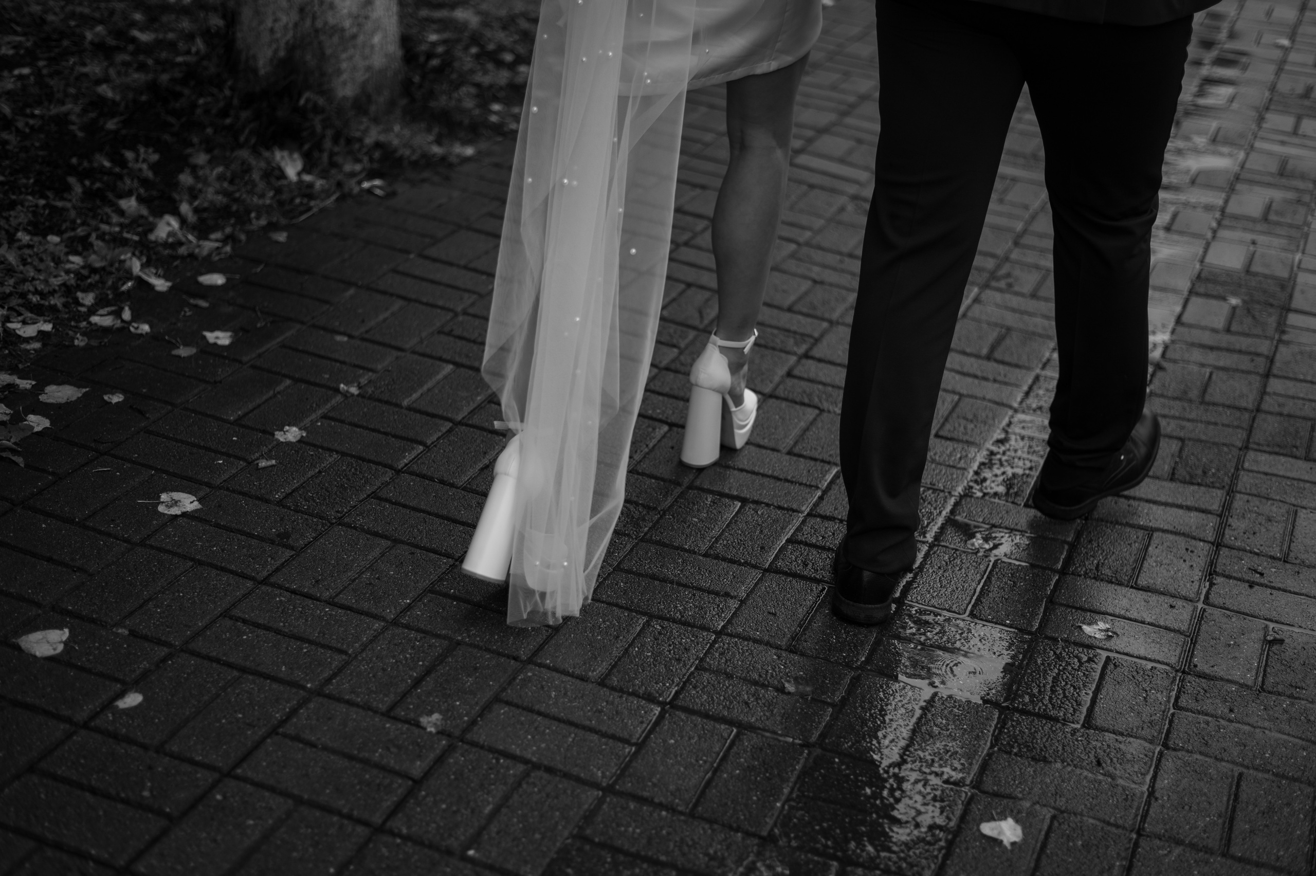 Никита|Аня. Свадебный и портретный фотограф Анастасия Тетёркина, Брянск и Санкт-Петербург