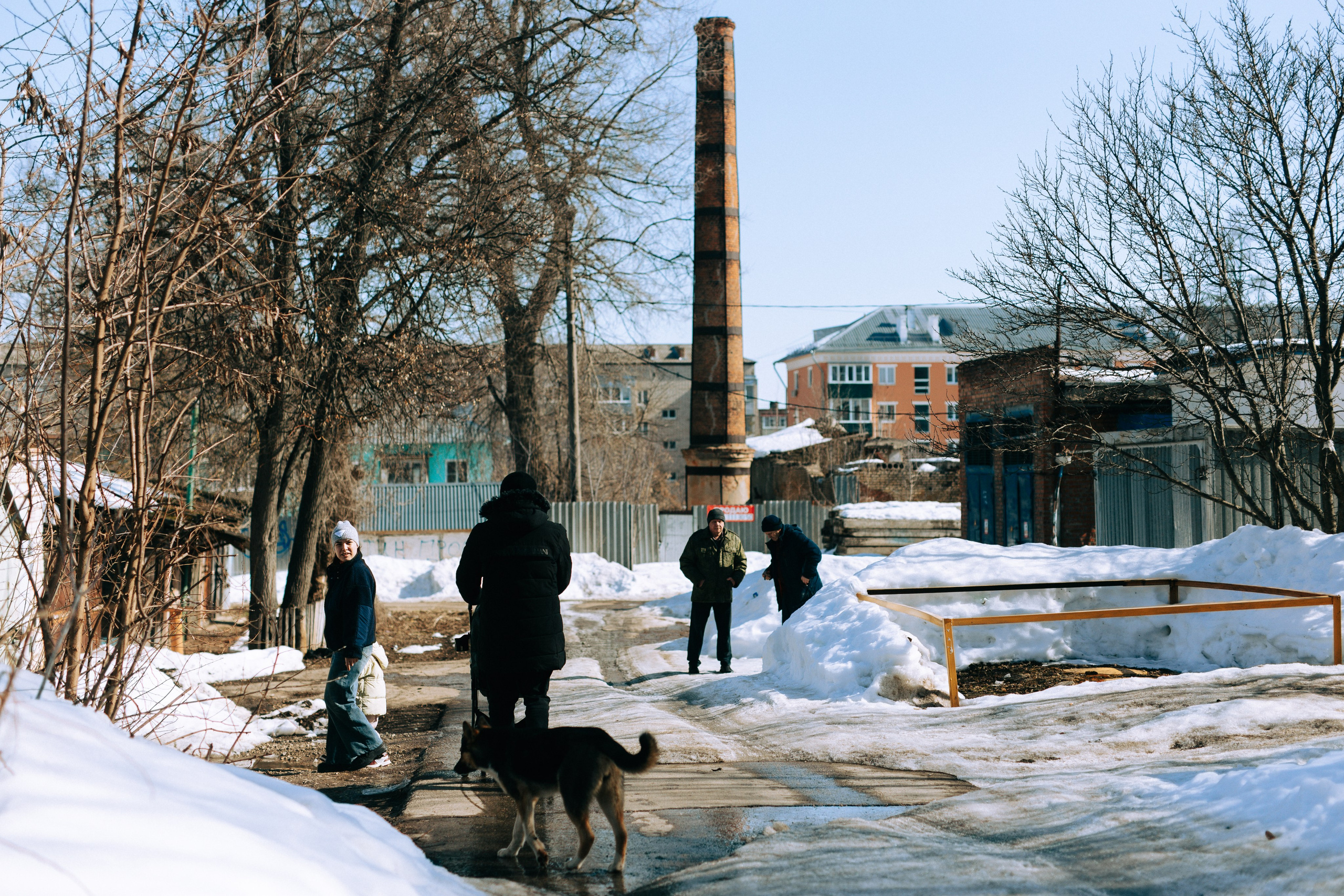 Ефремов. Свадебный и портретный фотограф — Мария Костина