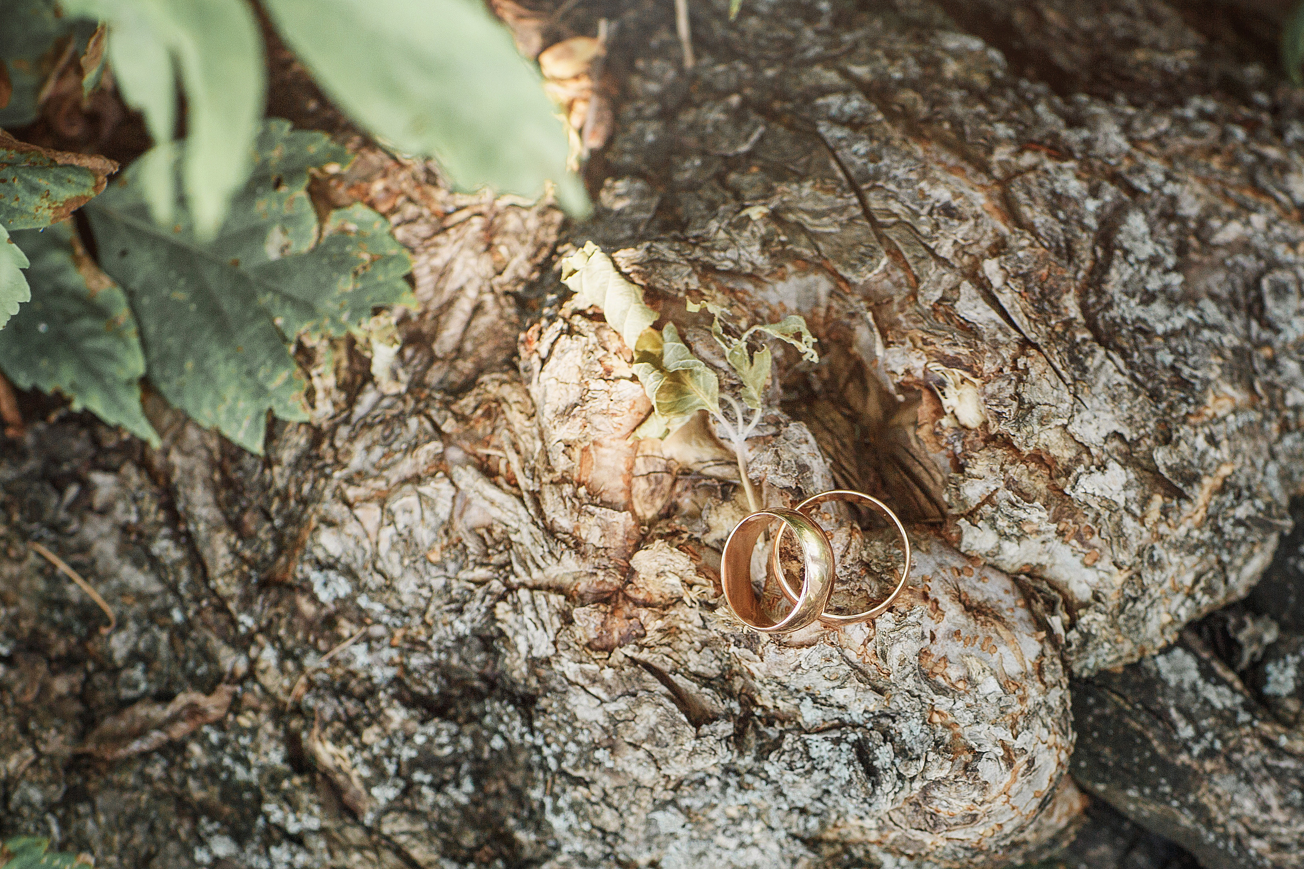 Свадьбы. Фотограф Липецк. Фотограф в Липецке Татьяна Минаева. Портретный фотограф Липецк. Свадебный фотограф Липецк. Бизнес фотограф Липецк