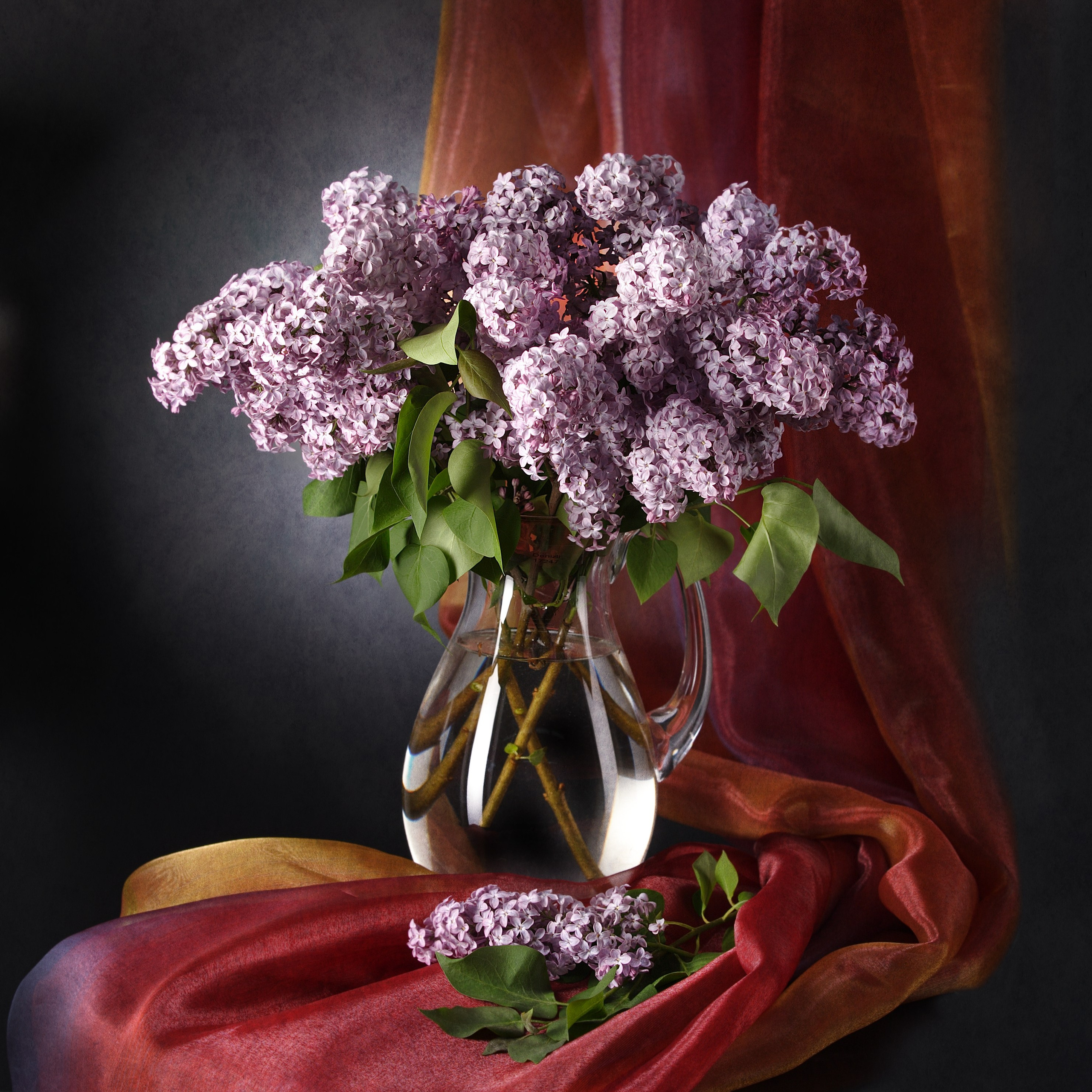 Цветы. Фотограф Мария Кольцова