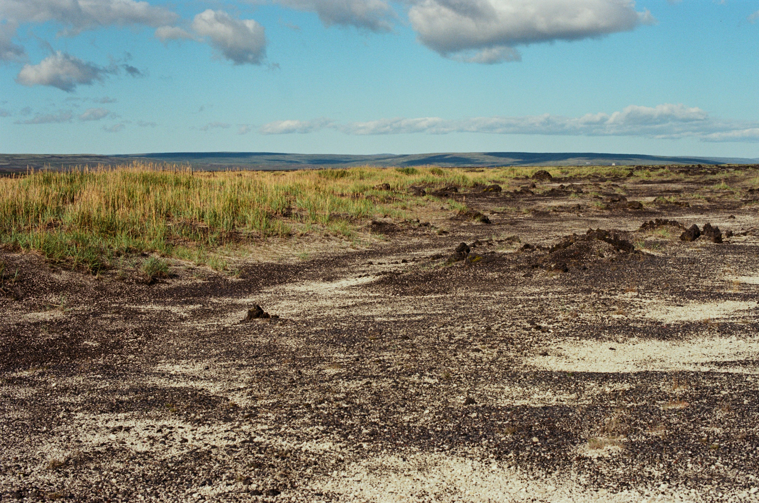 Visitor // iceland, f225. EVER EXPOSED