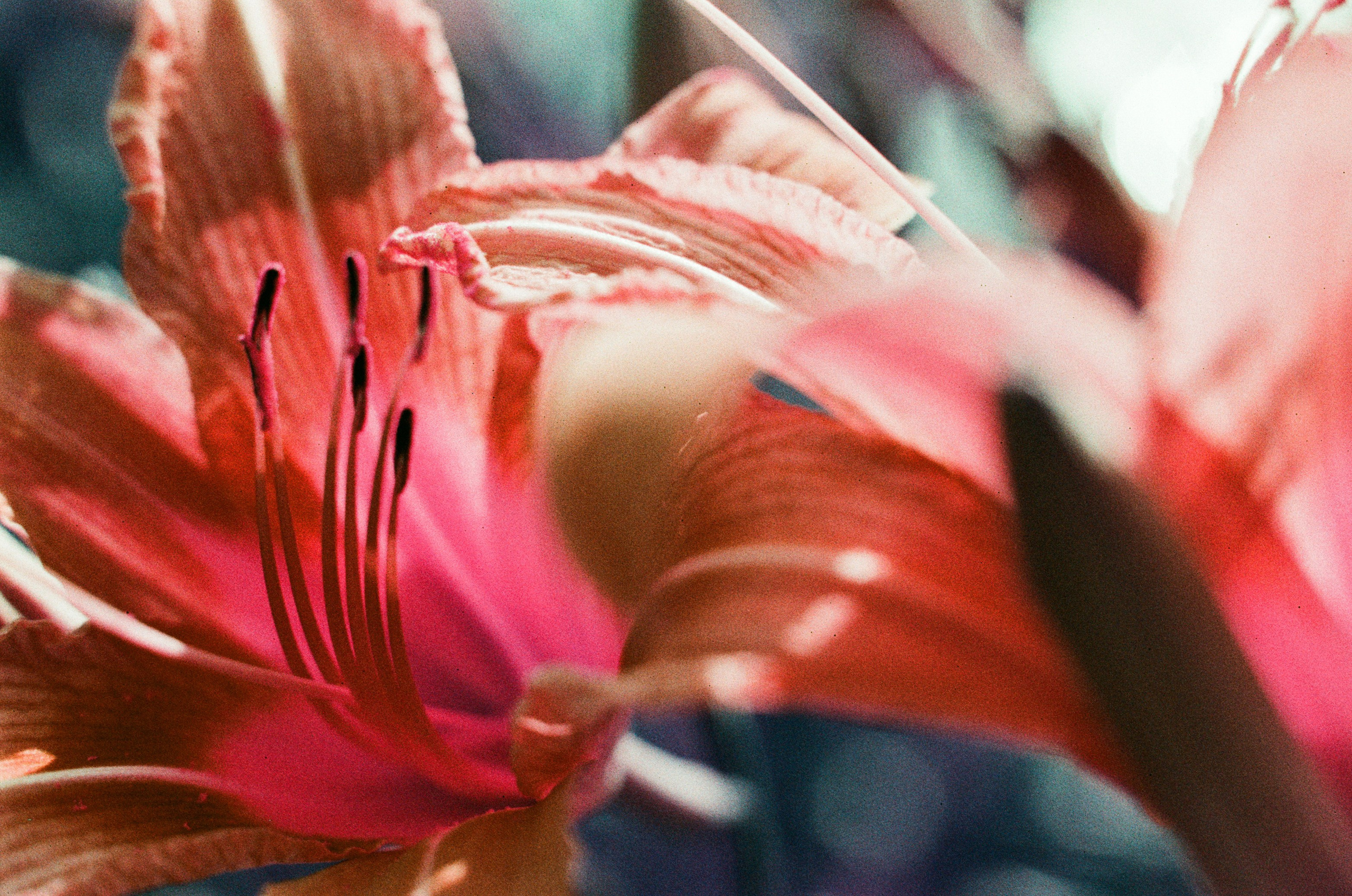 Point of no reply // ukraine, crimea VIII. EVER EXPOSED