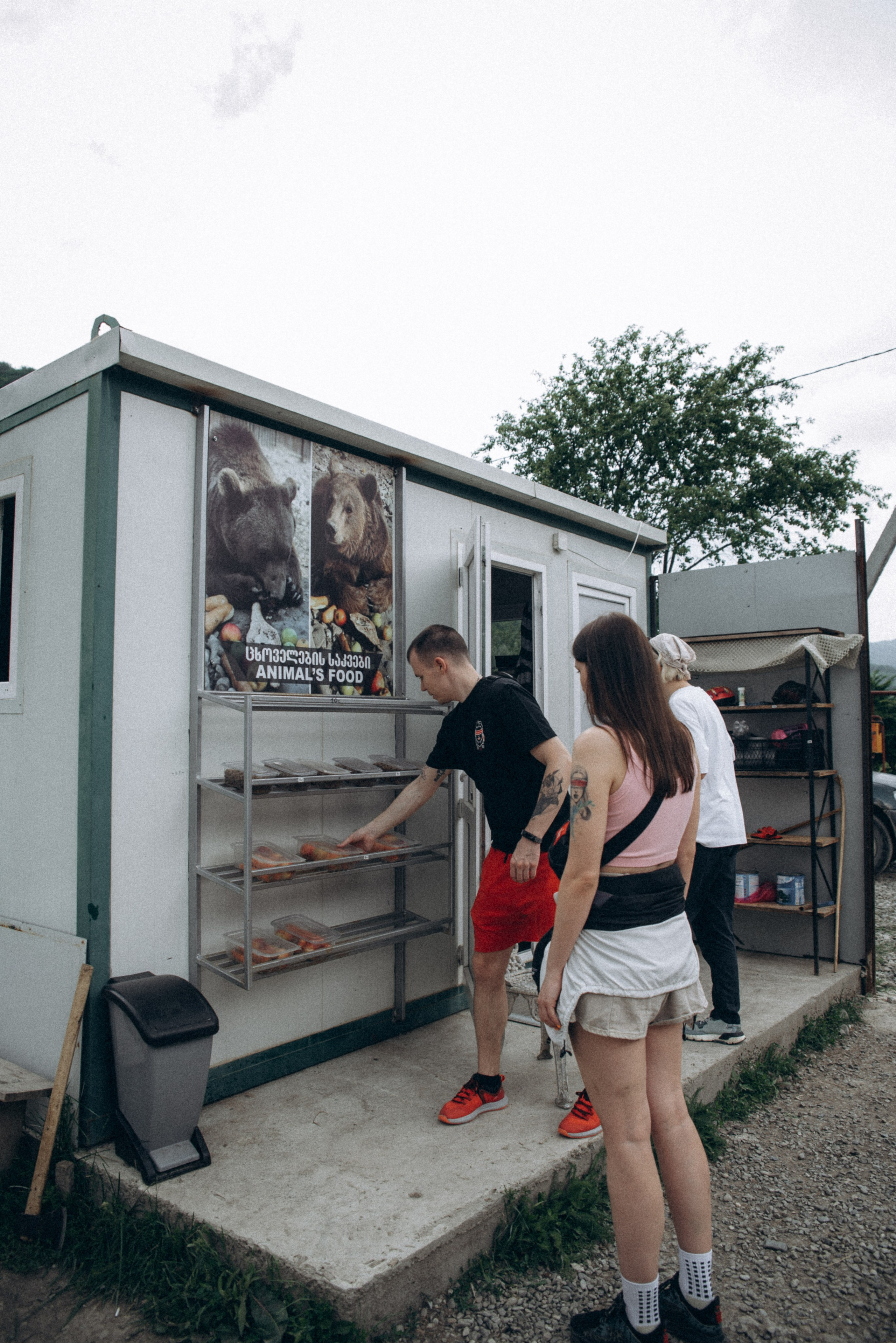 Медвежий приют, Мамкода, Грузия 🇬🇪 «Honey Trip». Anita_photo