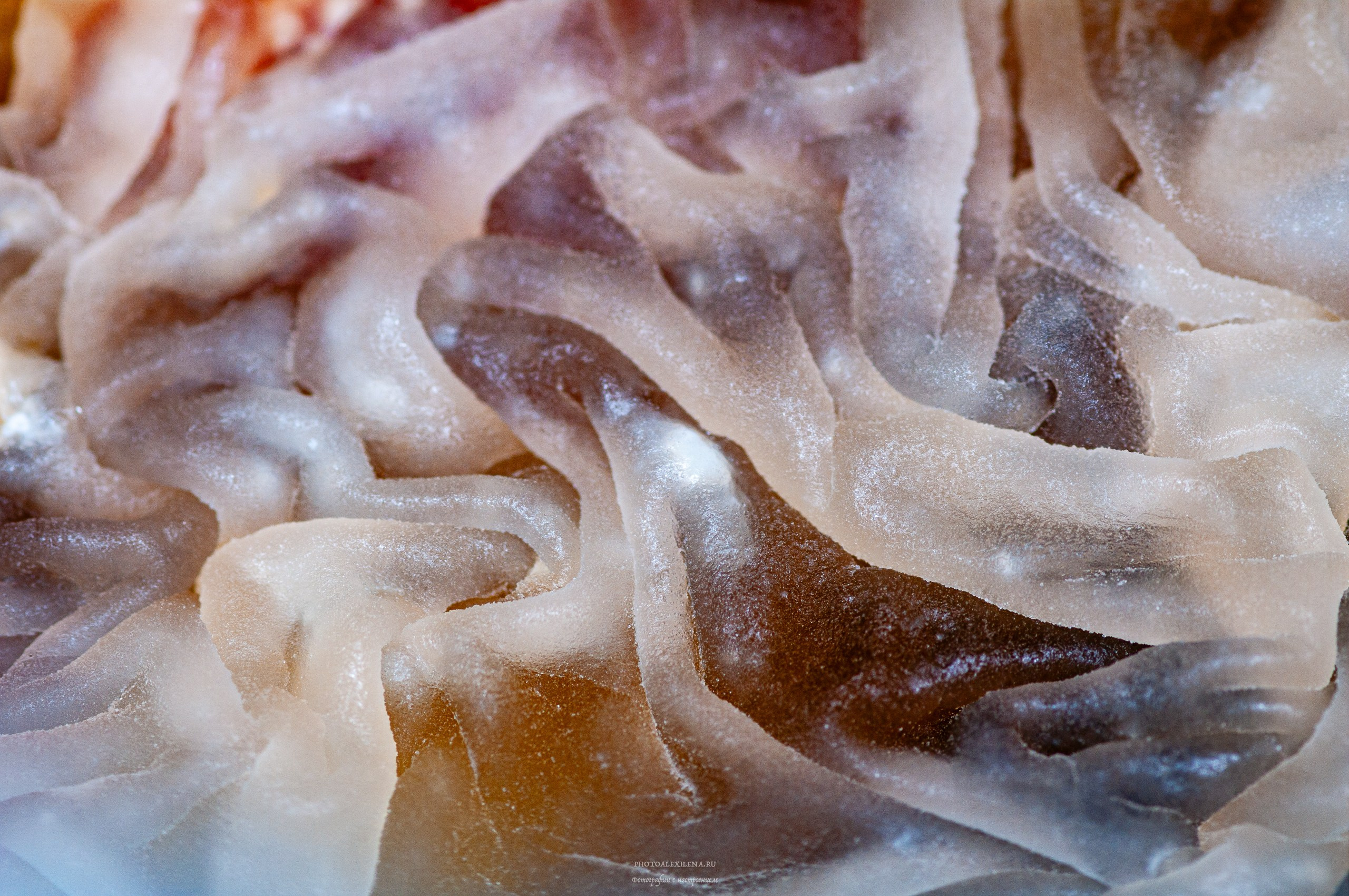 Осязаемая красота. Авторские стильные фотокартины