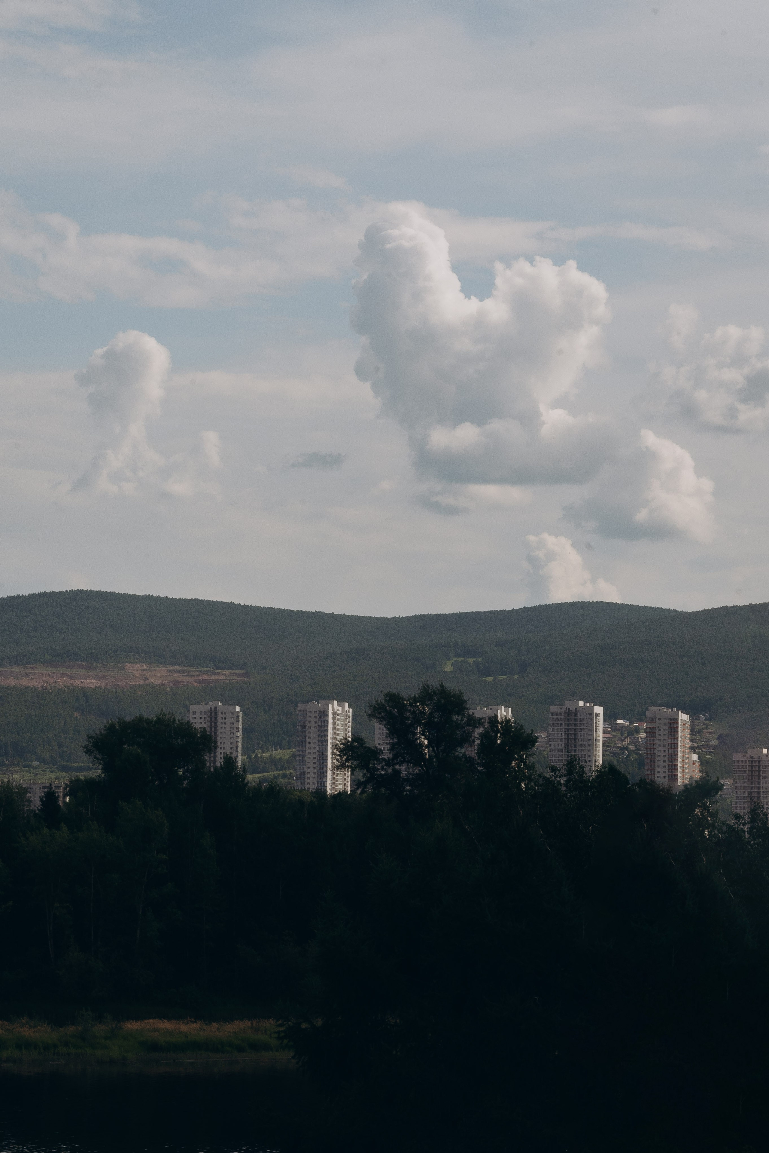 Миша и Саша. Тамара Власова