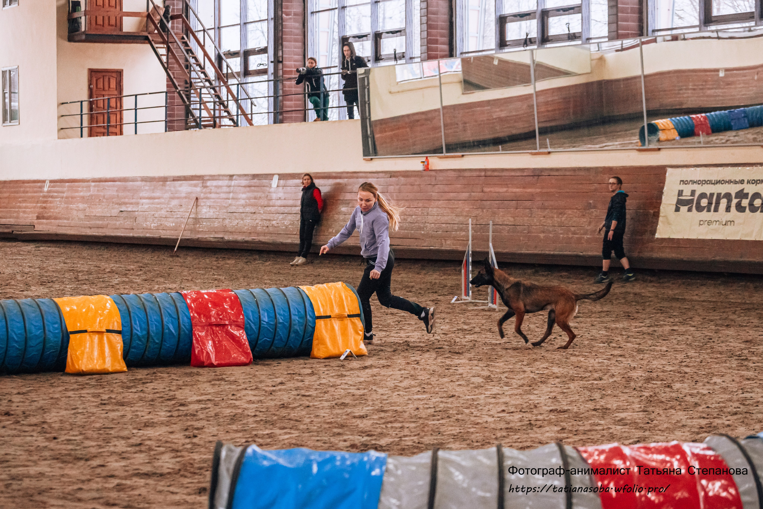 Соревнования по Аджилити 25.02.2024. Фотограф-анималист Татьяна Степанова
