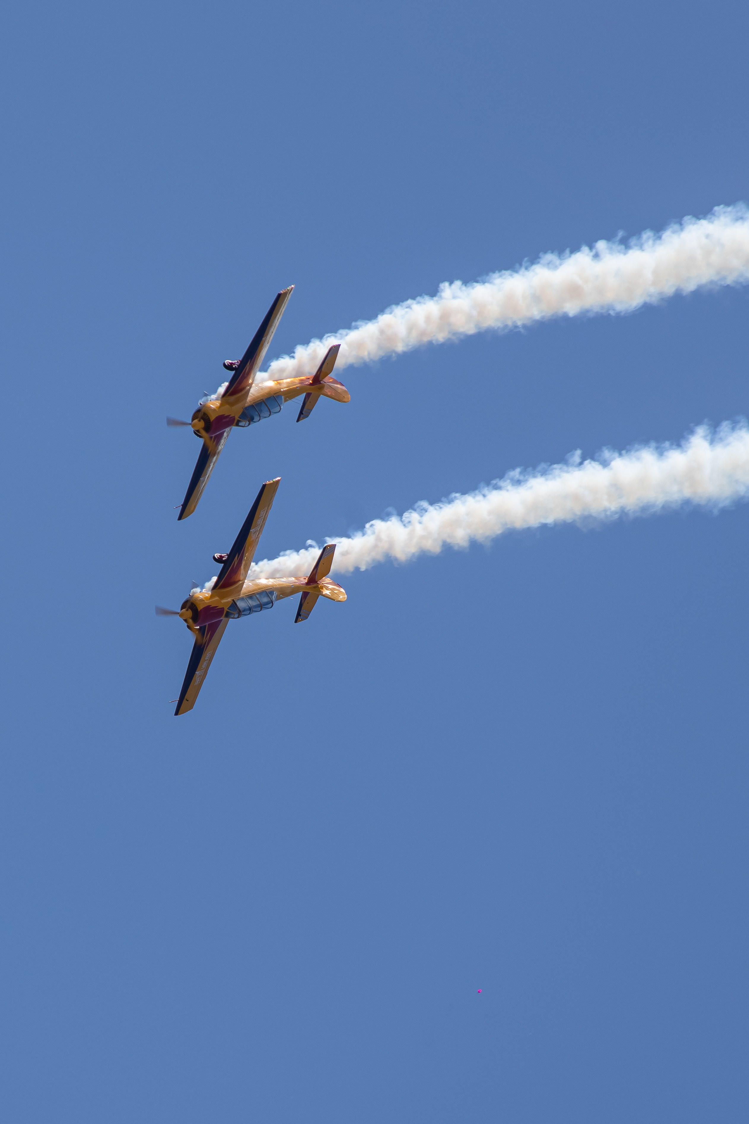 Крылья Пармы 2025 г. KATERINA VINOKUROVA ФОТОГРАФ ПЕРМЬ