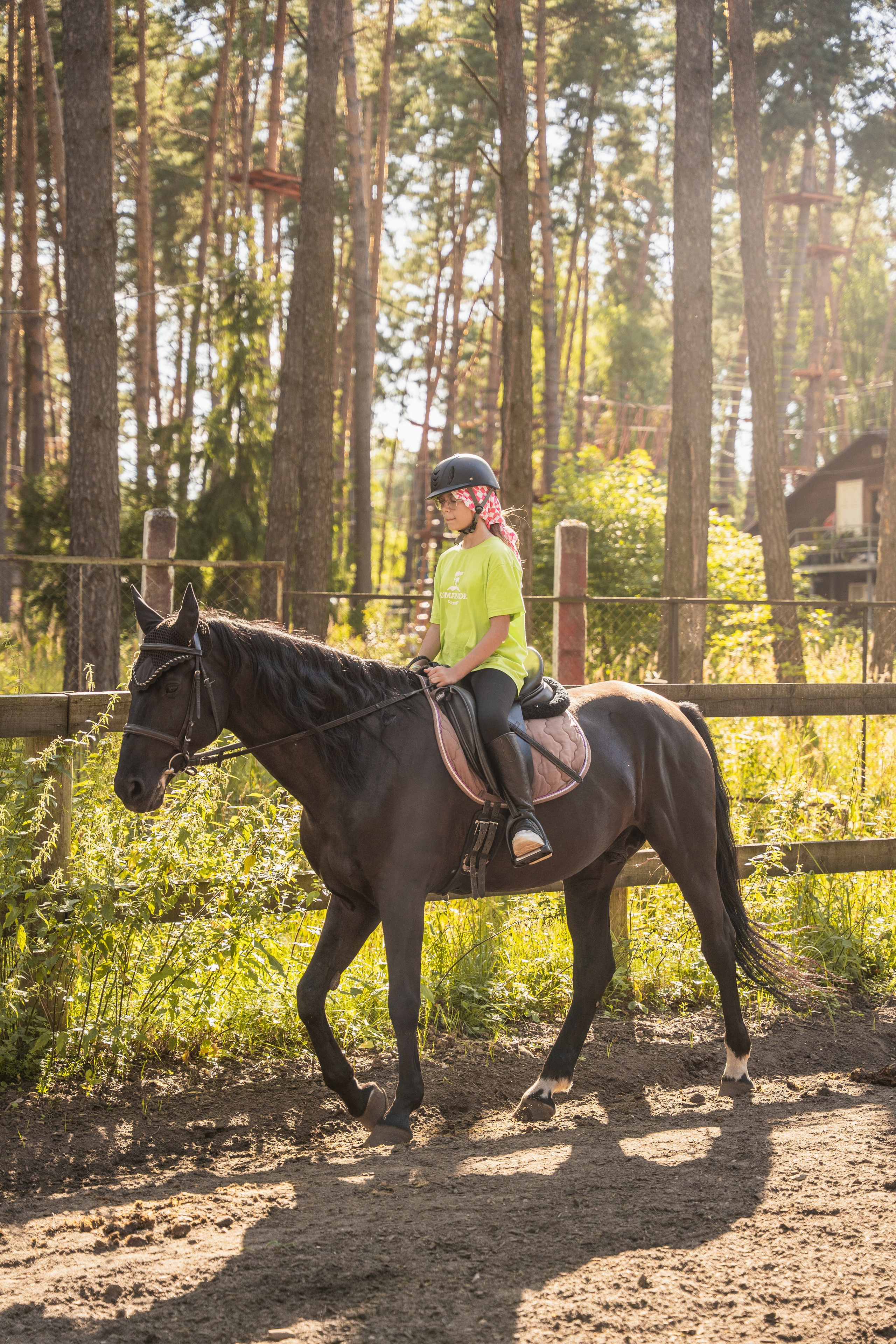 Конное занятие. Главная