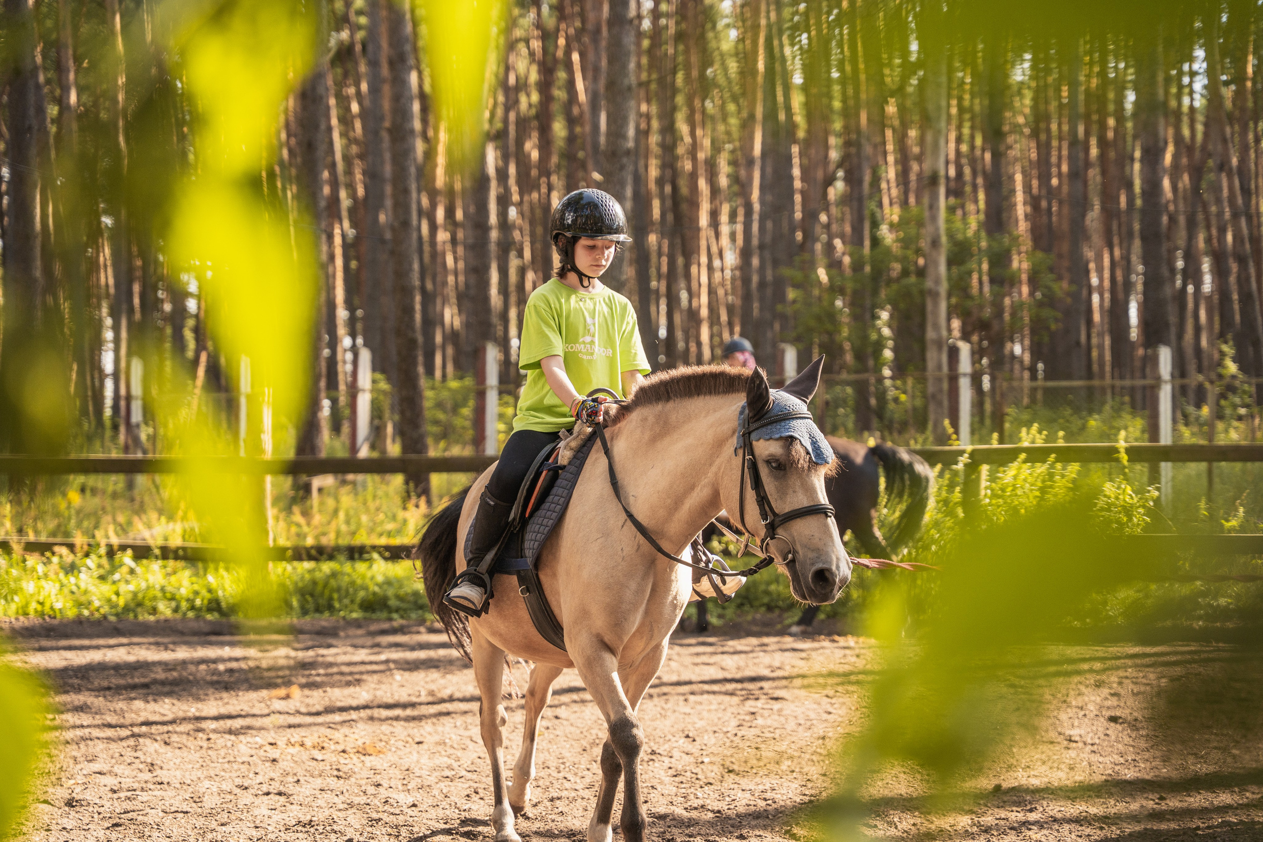 Конное занятие. Главная