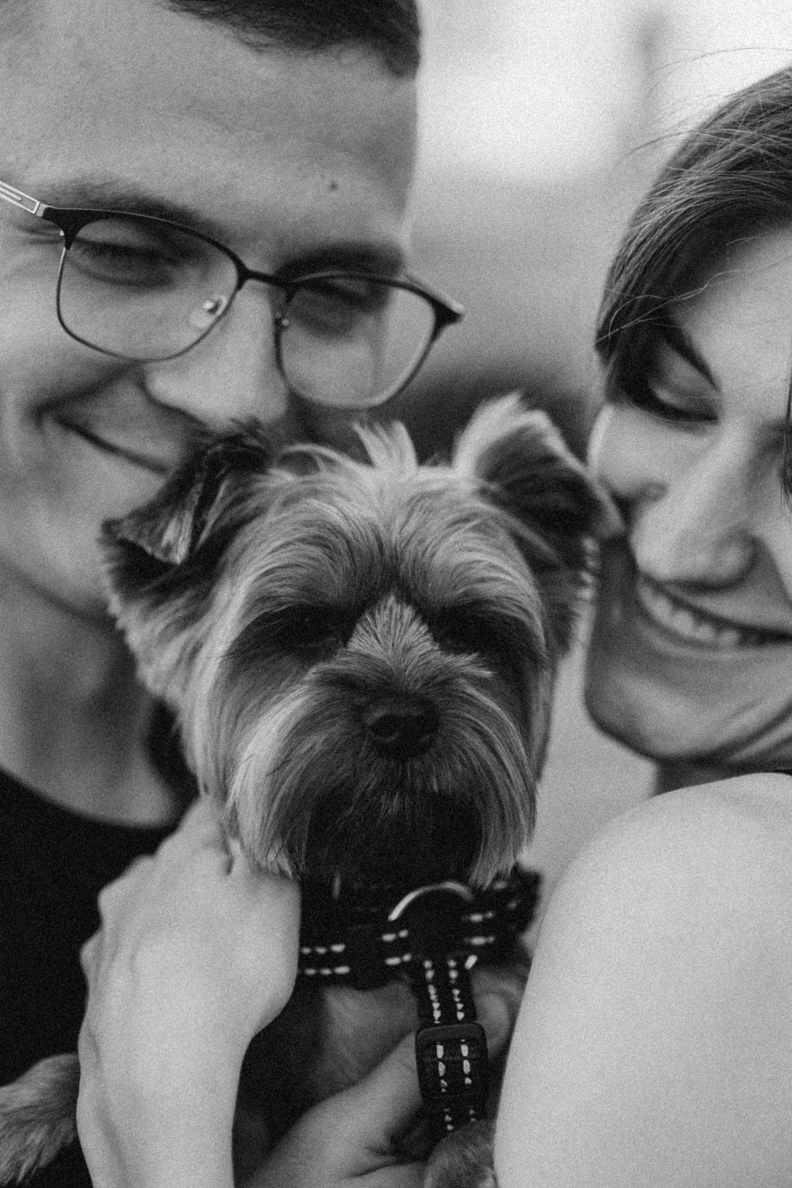 Филя и его семья. Фотограф — Анималист | Санкт-Петербург