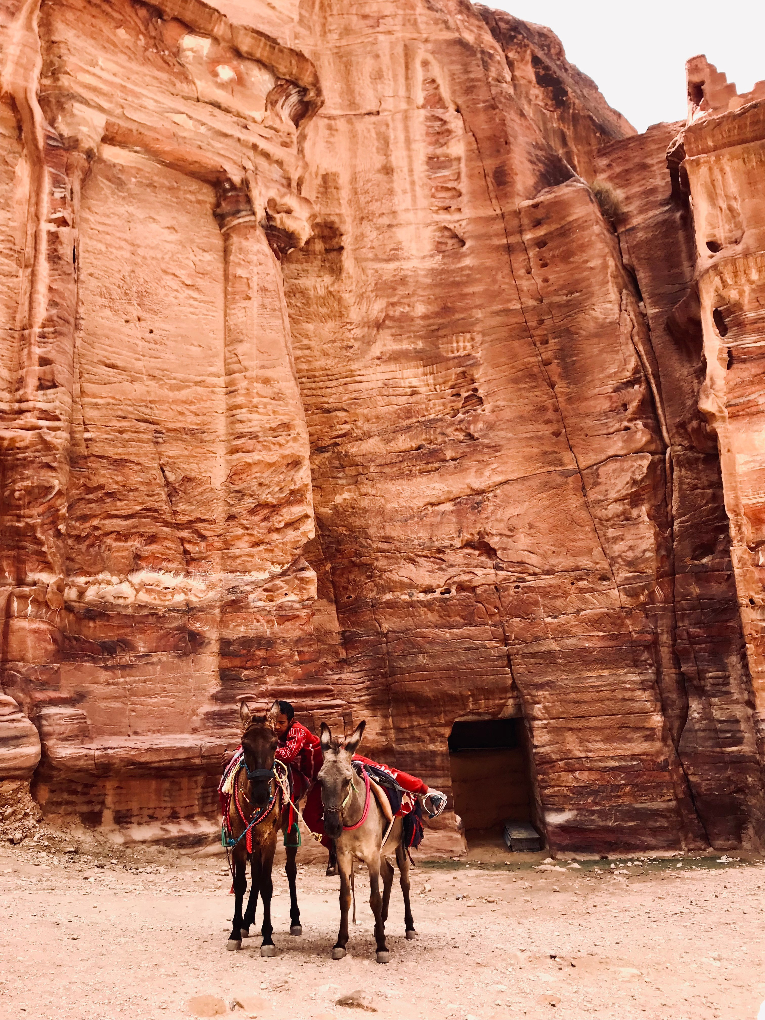 Иордания. Портретный фотограф в Москве Гульнара Миннуллина
