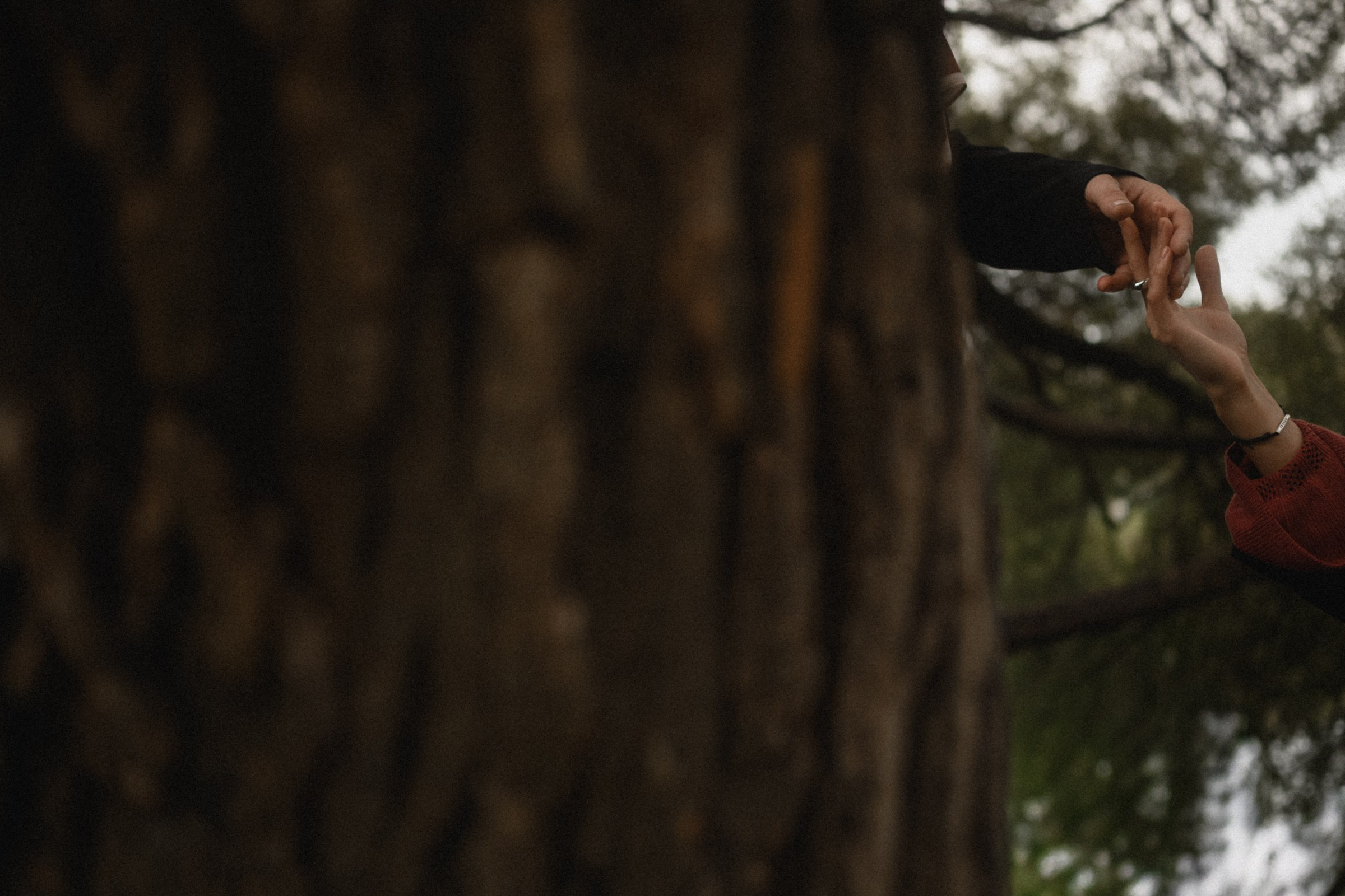 Свадебный и семейный фотограф в Ростове-на-Дону