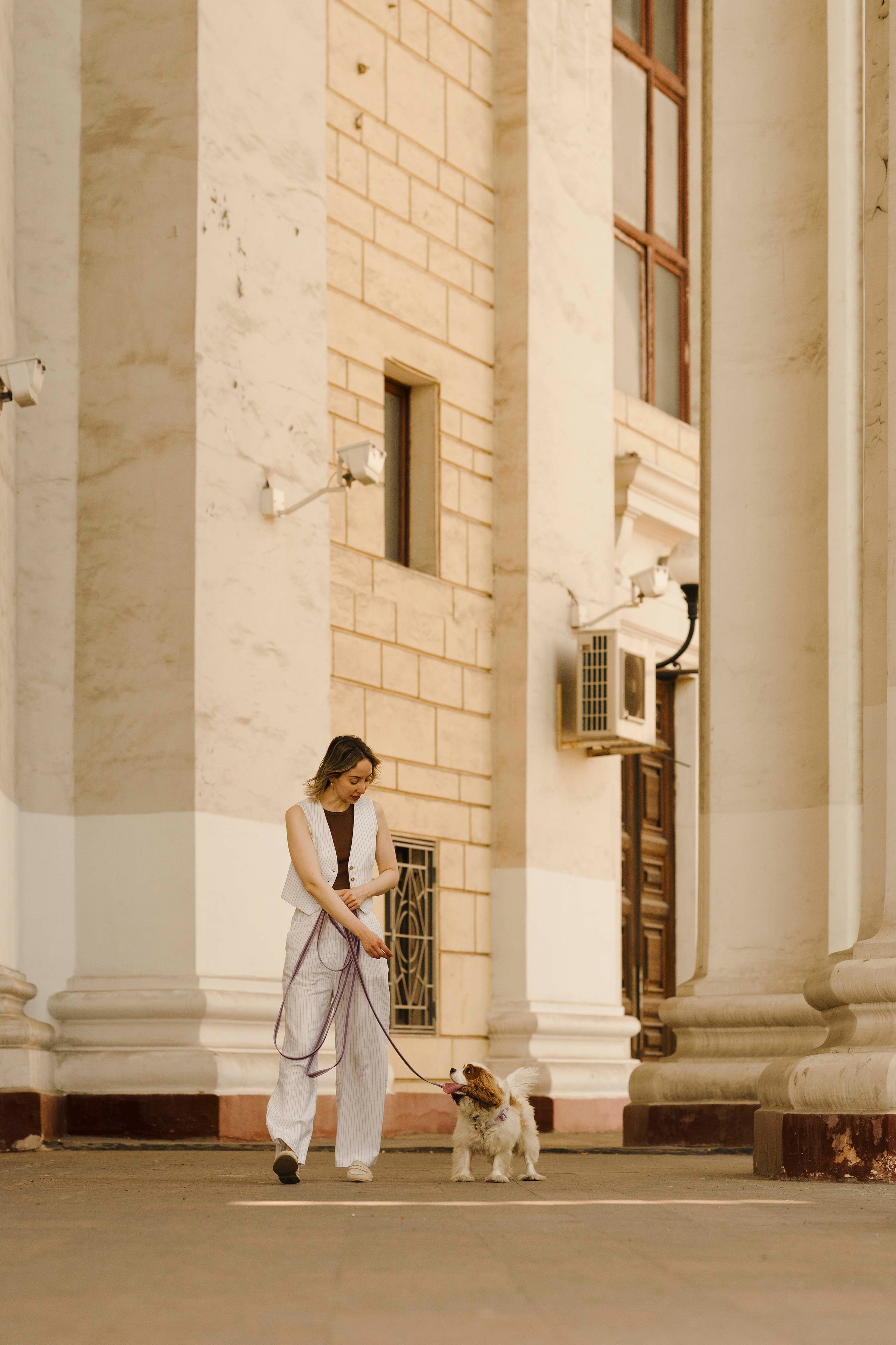 Джей. Фотограф- анималист Александра Матвеева